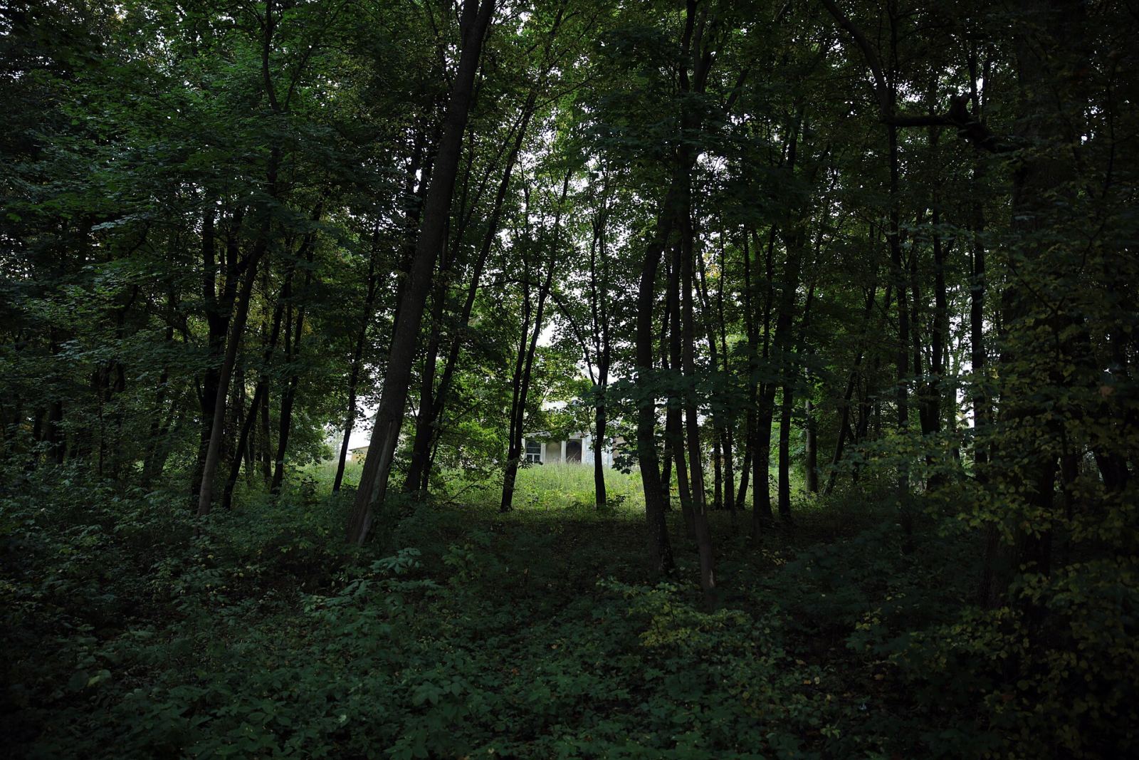 Park, Kupientyn