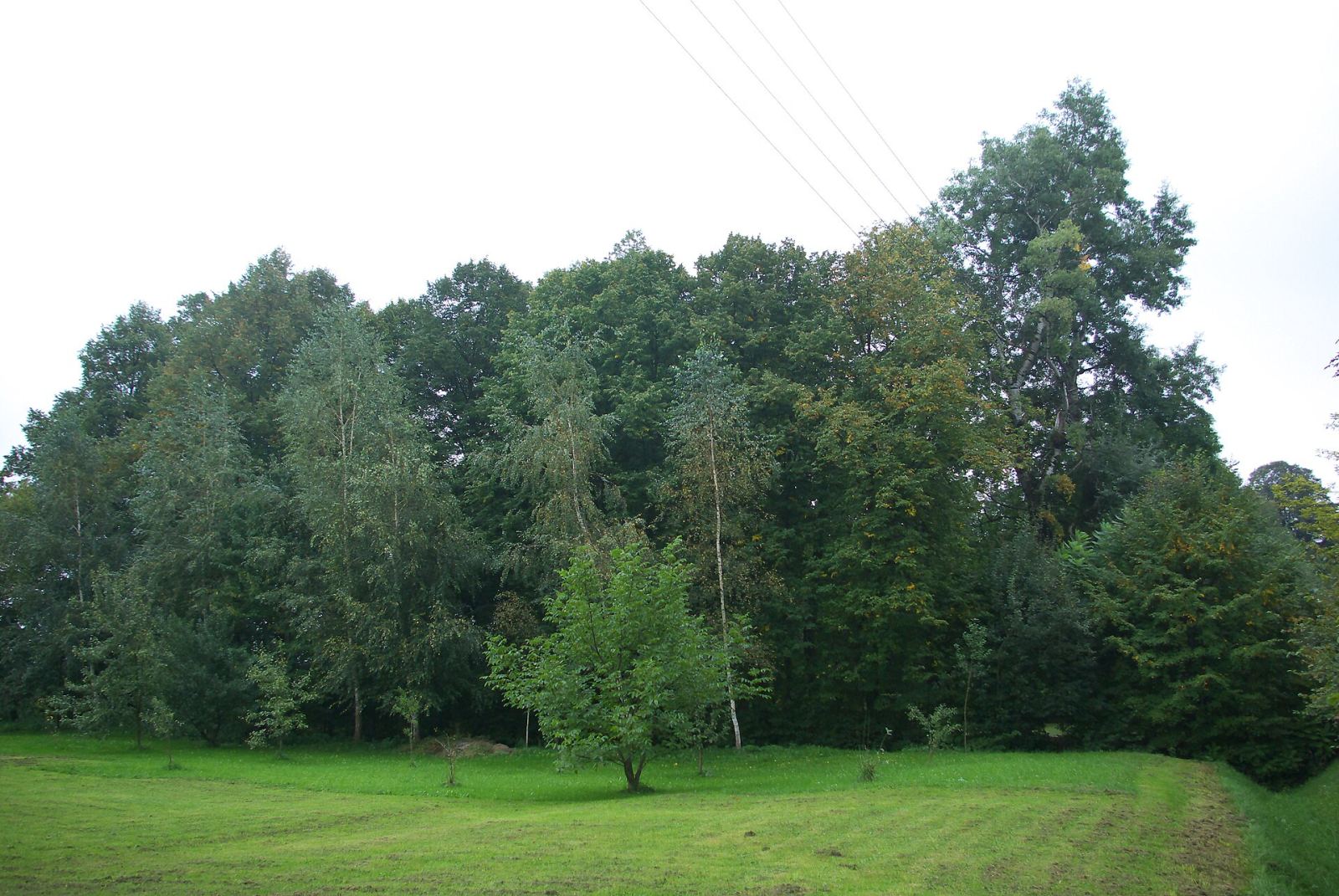 Zespół dworsko-parkowy, Posada Jaćmierska