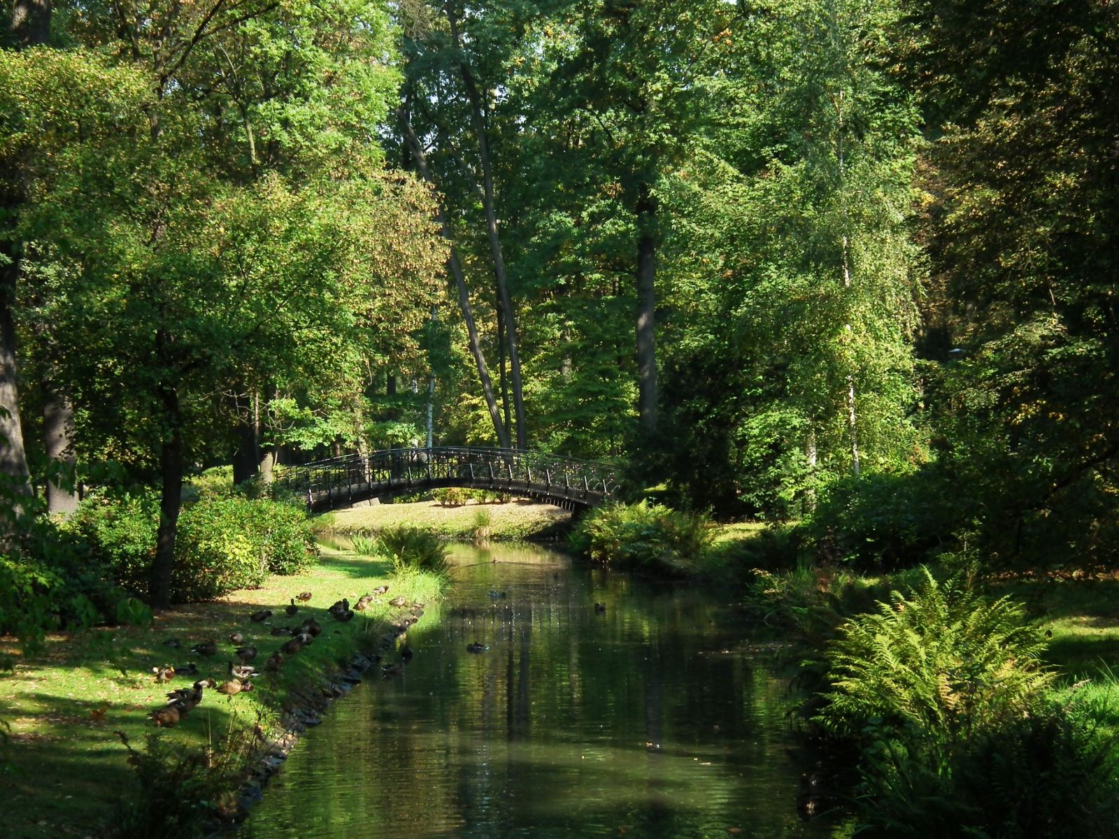 Park Szczytnicki, Wrocław