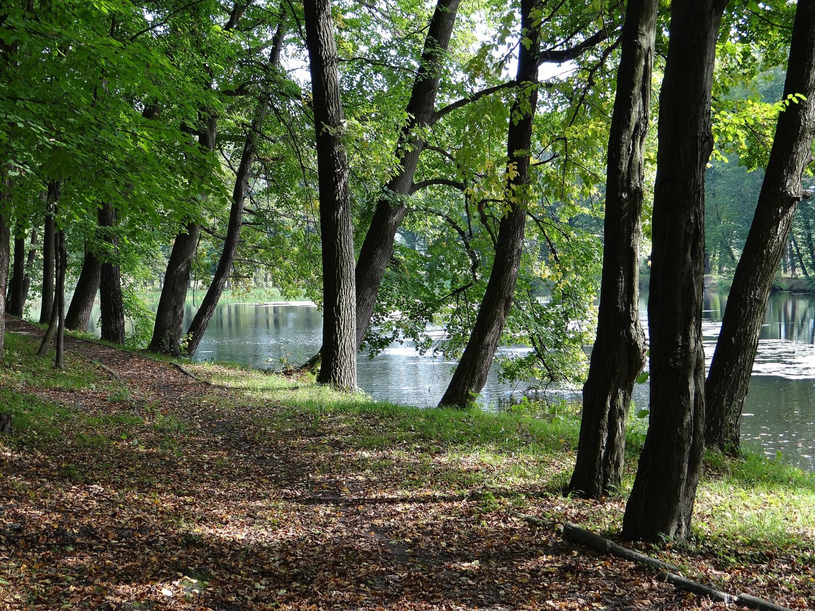 Park, Hadle Szklarskie