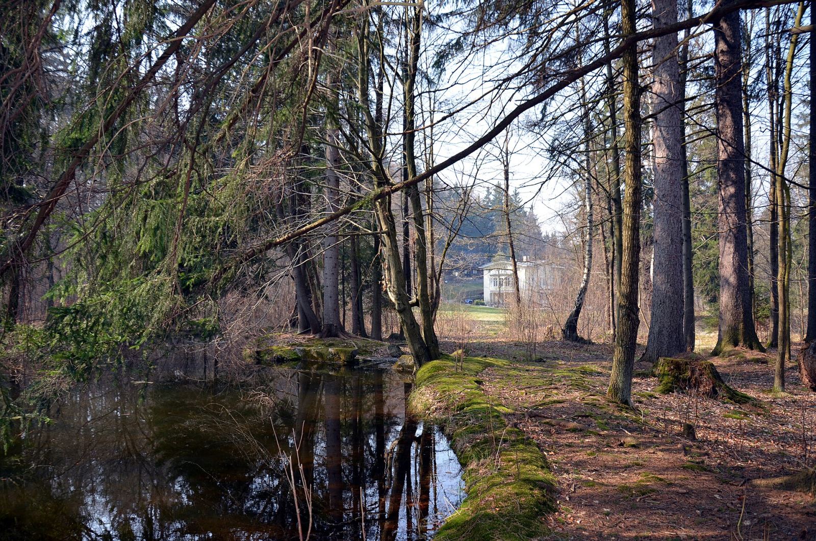 Park, Trzcińsko