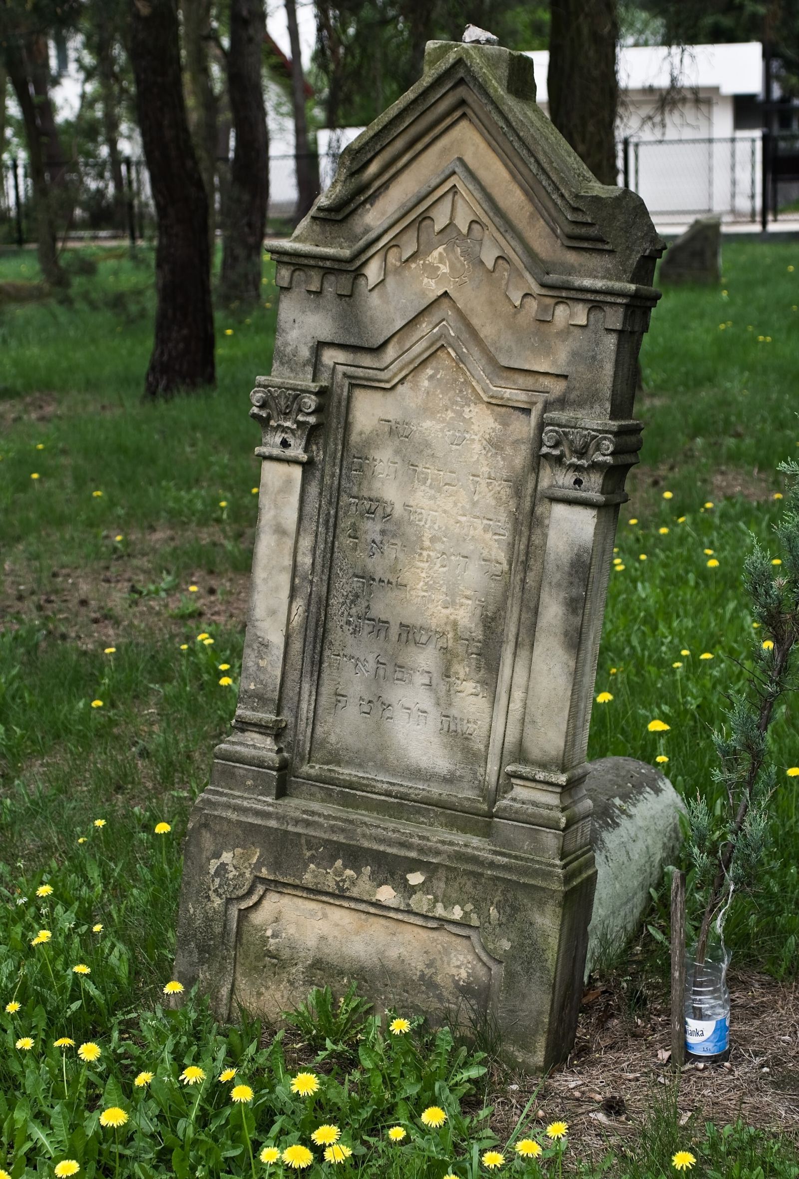 Cmentarz żydowski, Piaseczno