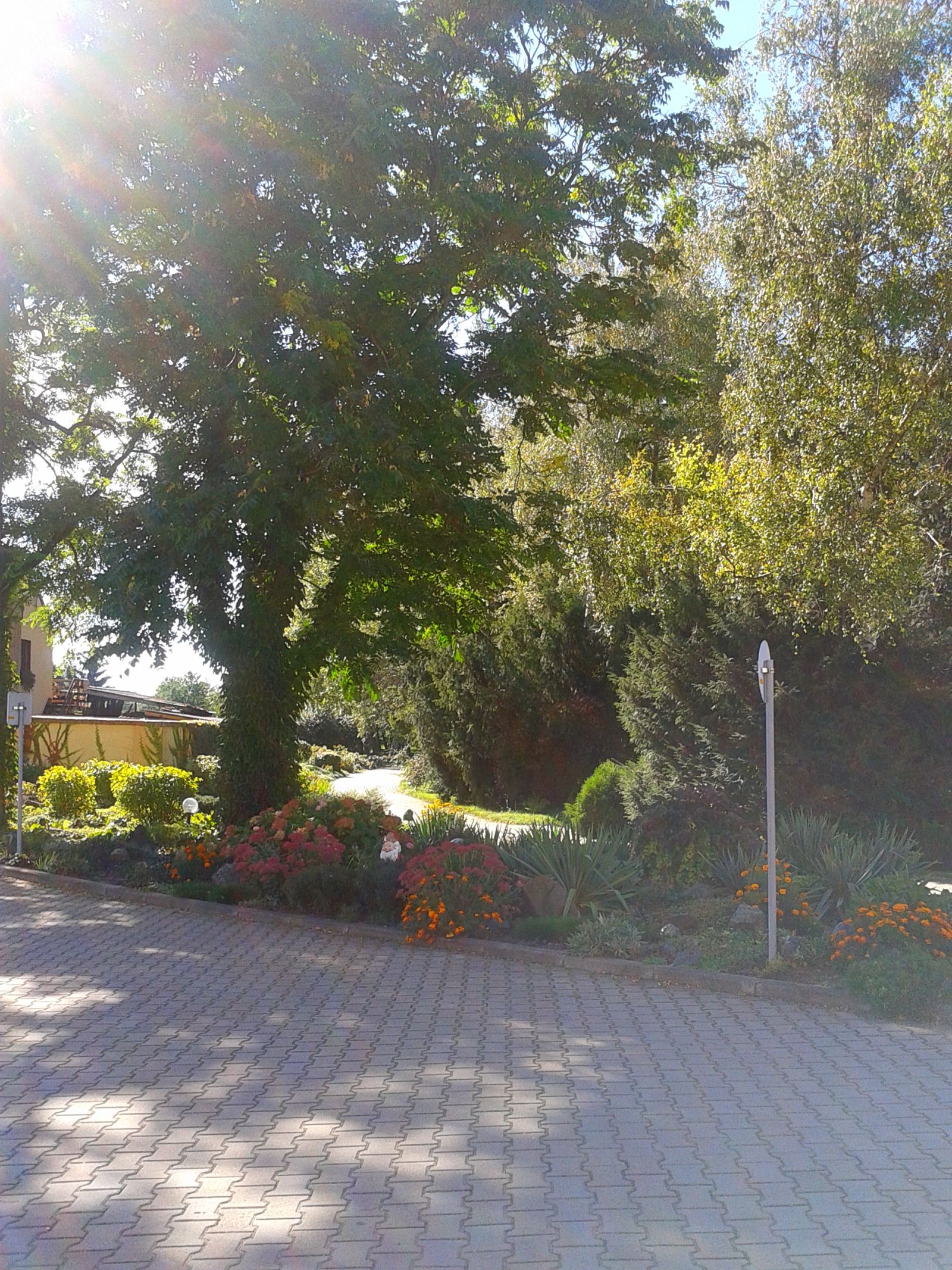 Park podworski, Wierzbice