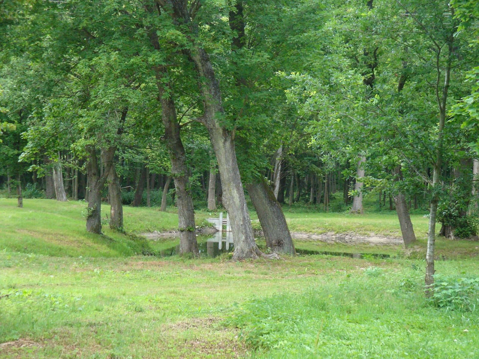 Park, Wielka Wieś