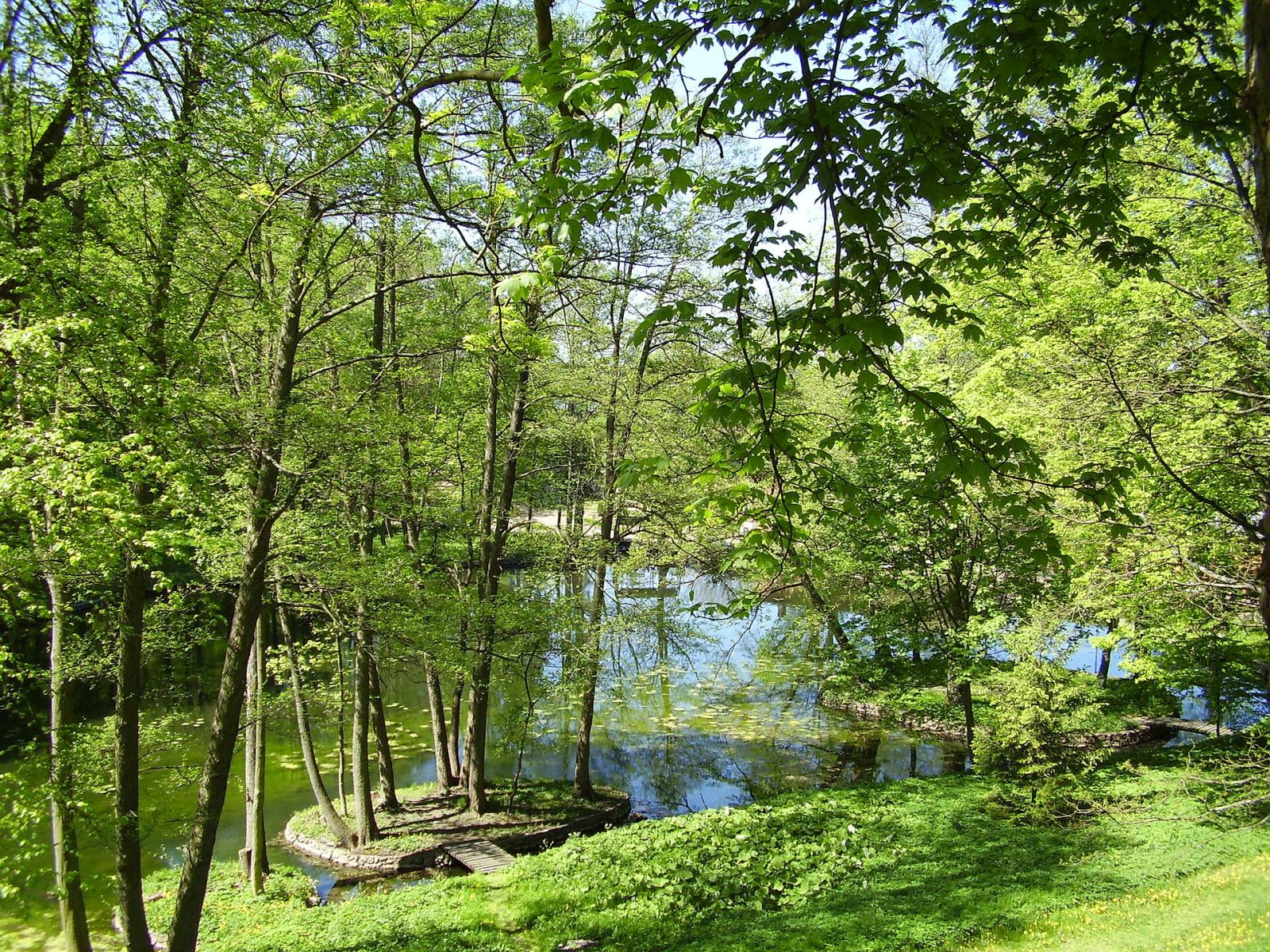 Park, Tuczno