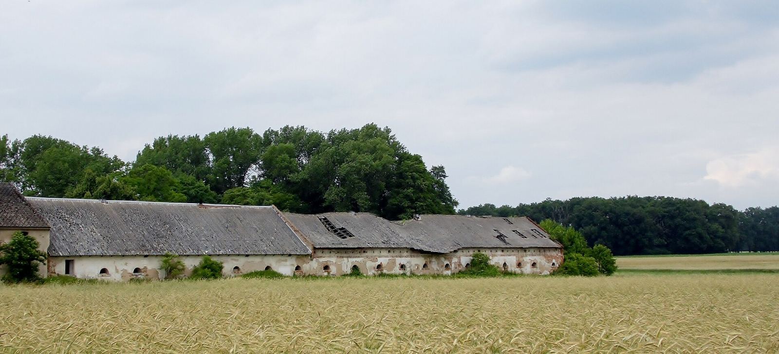 Obora, Zbarzewo