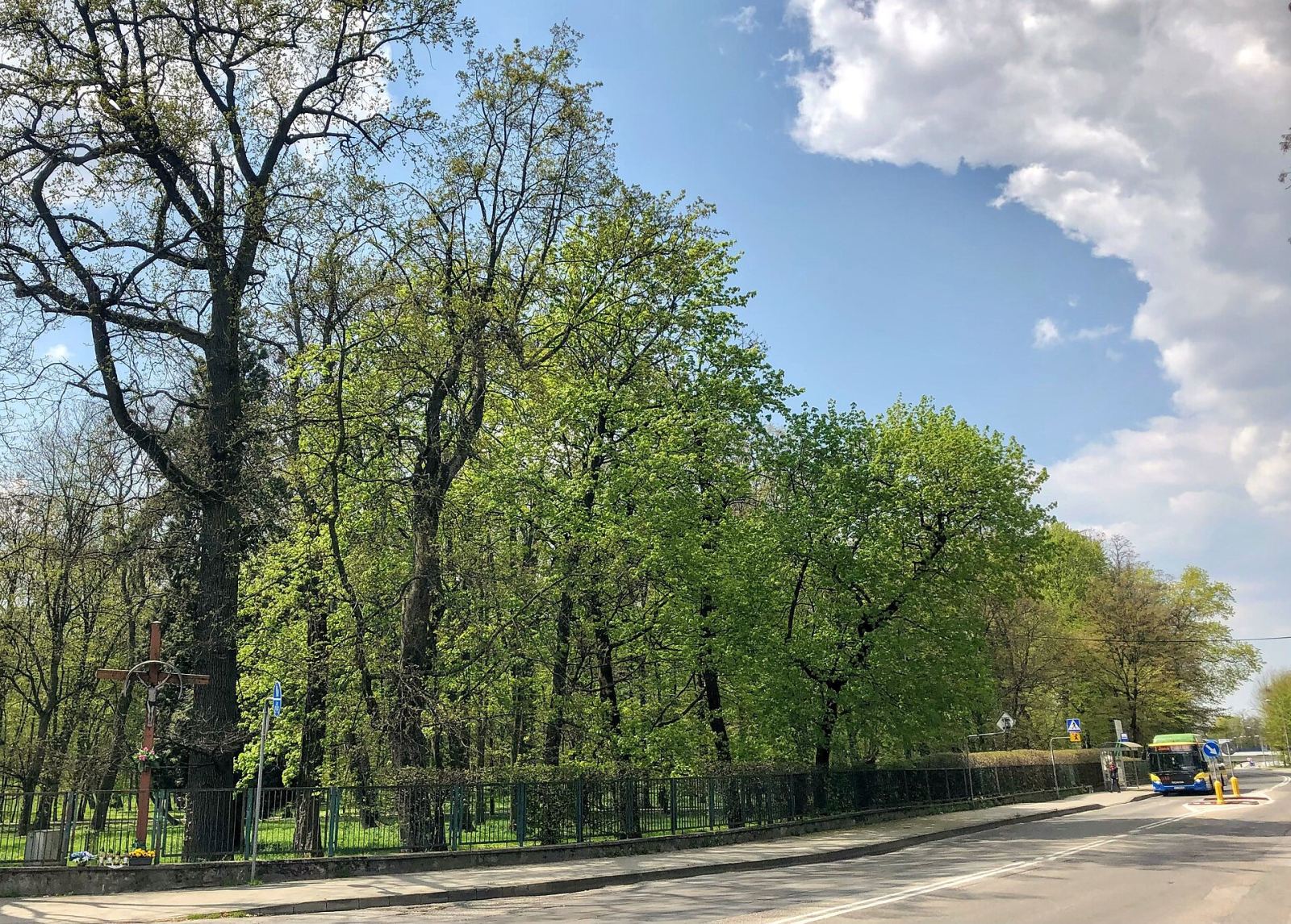 Park, Tarnów