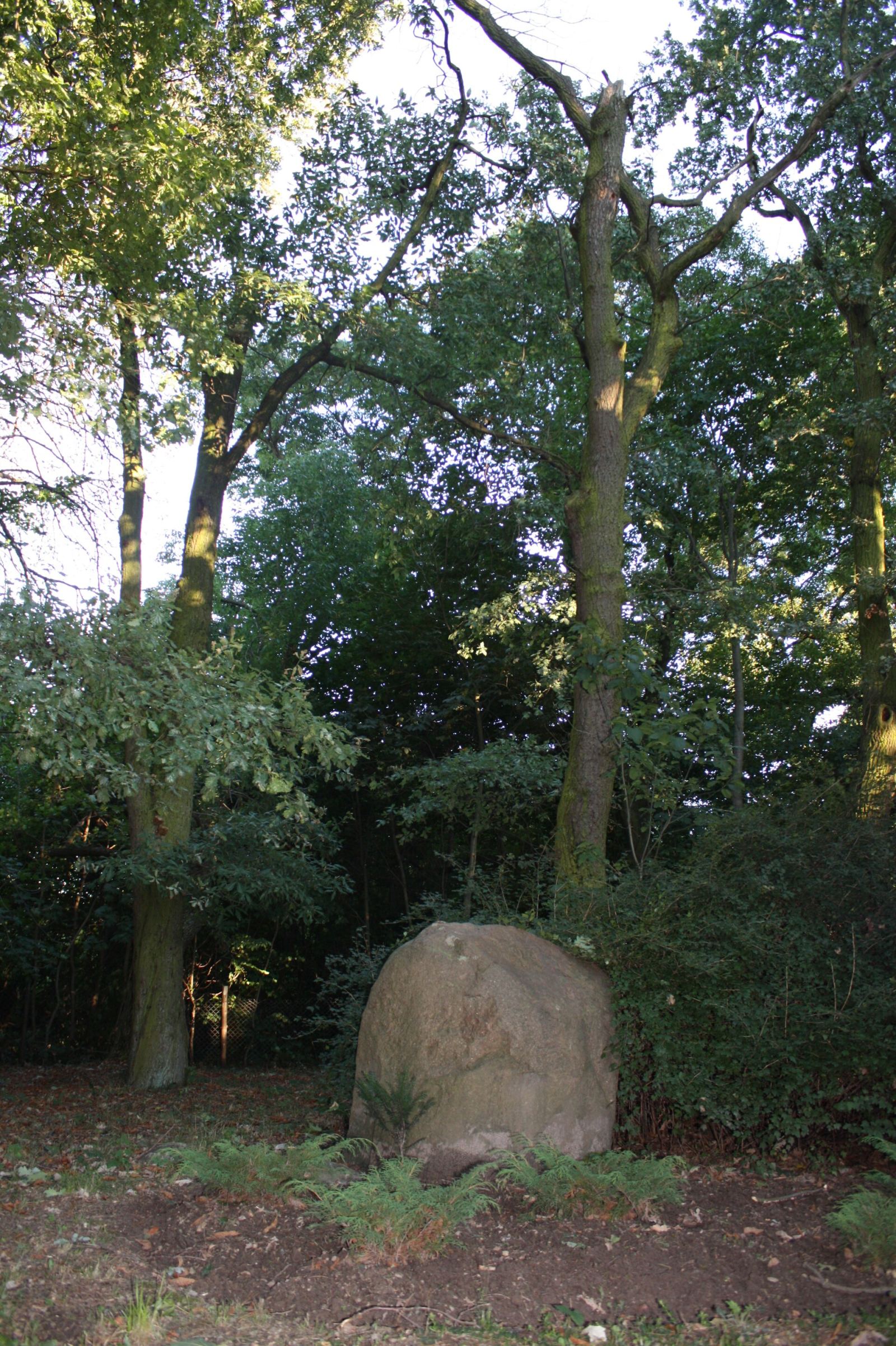 Arboretum, Pruszków