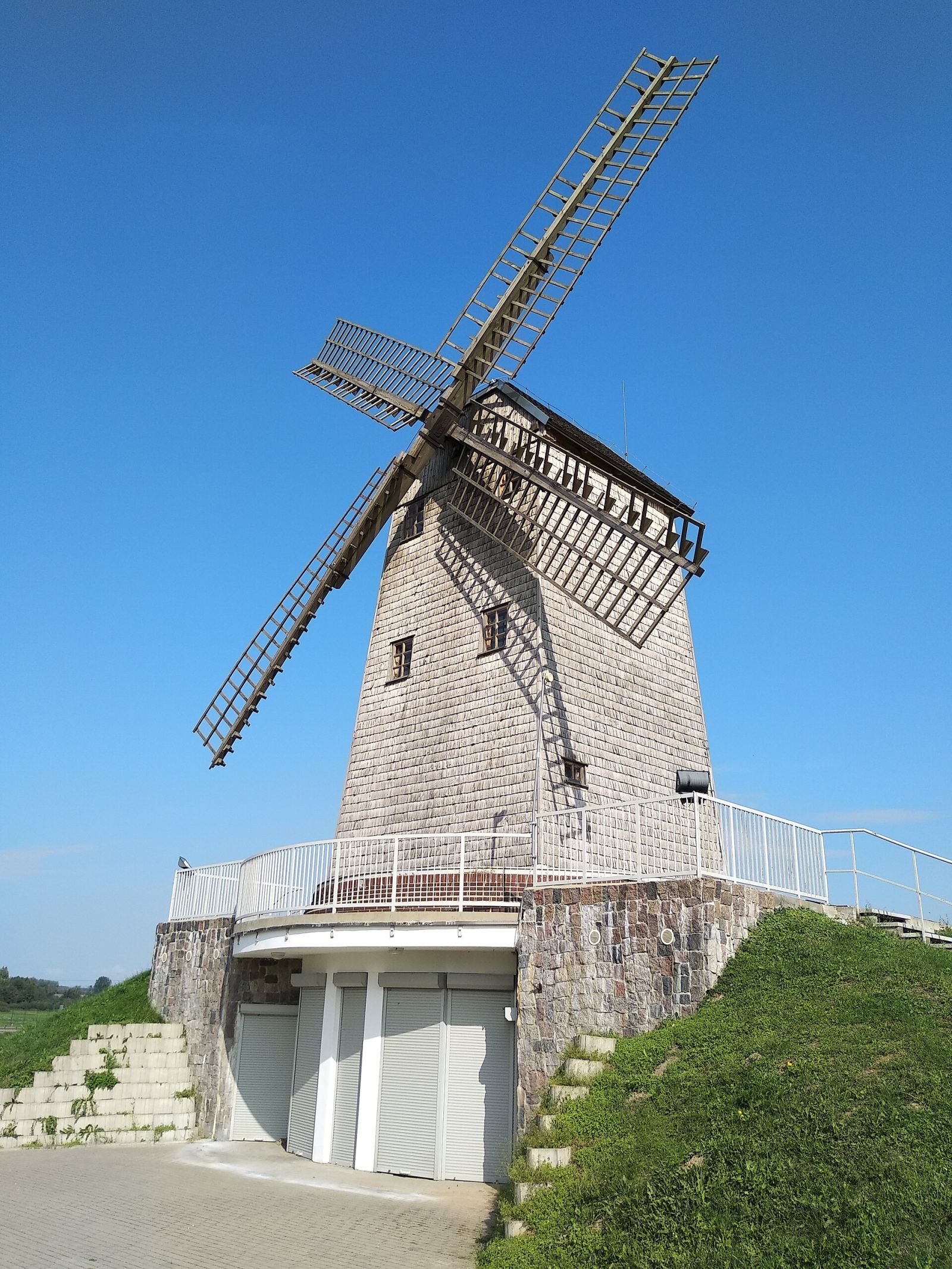 Wiatrak paltrak, Zagórze