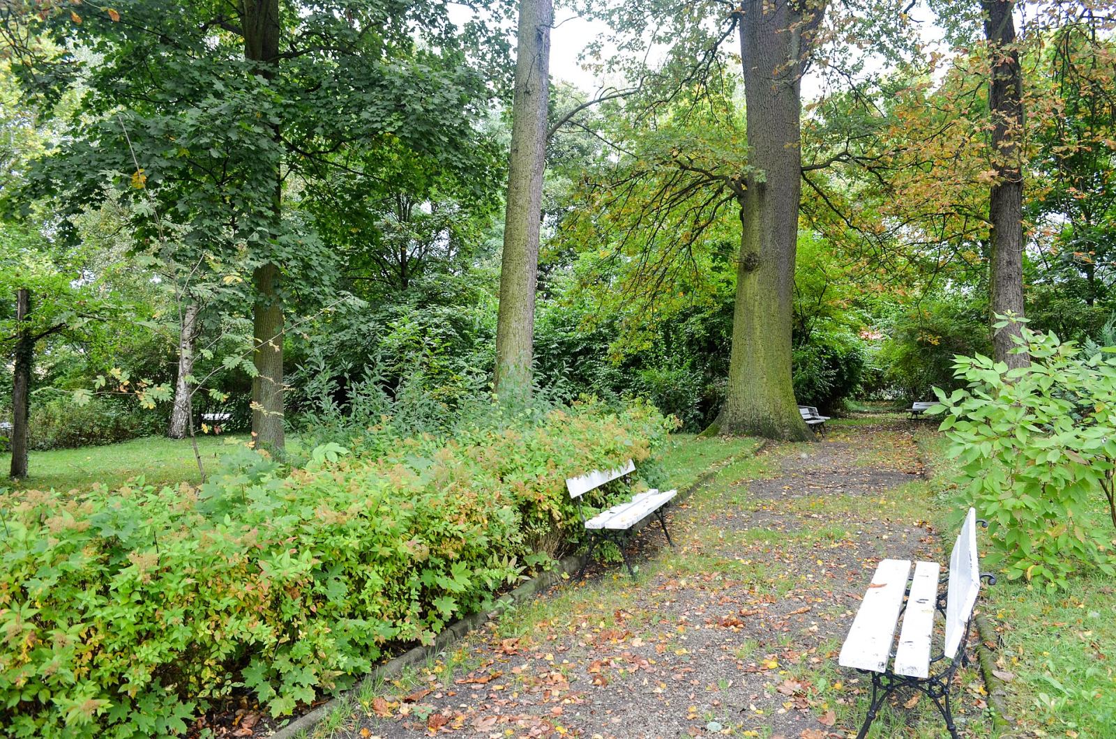 D. park dworski, Świdnica