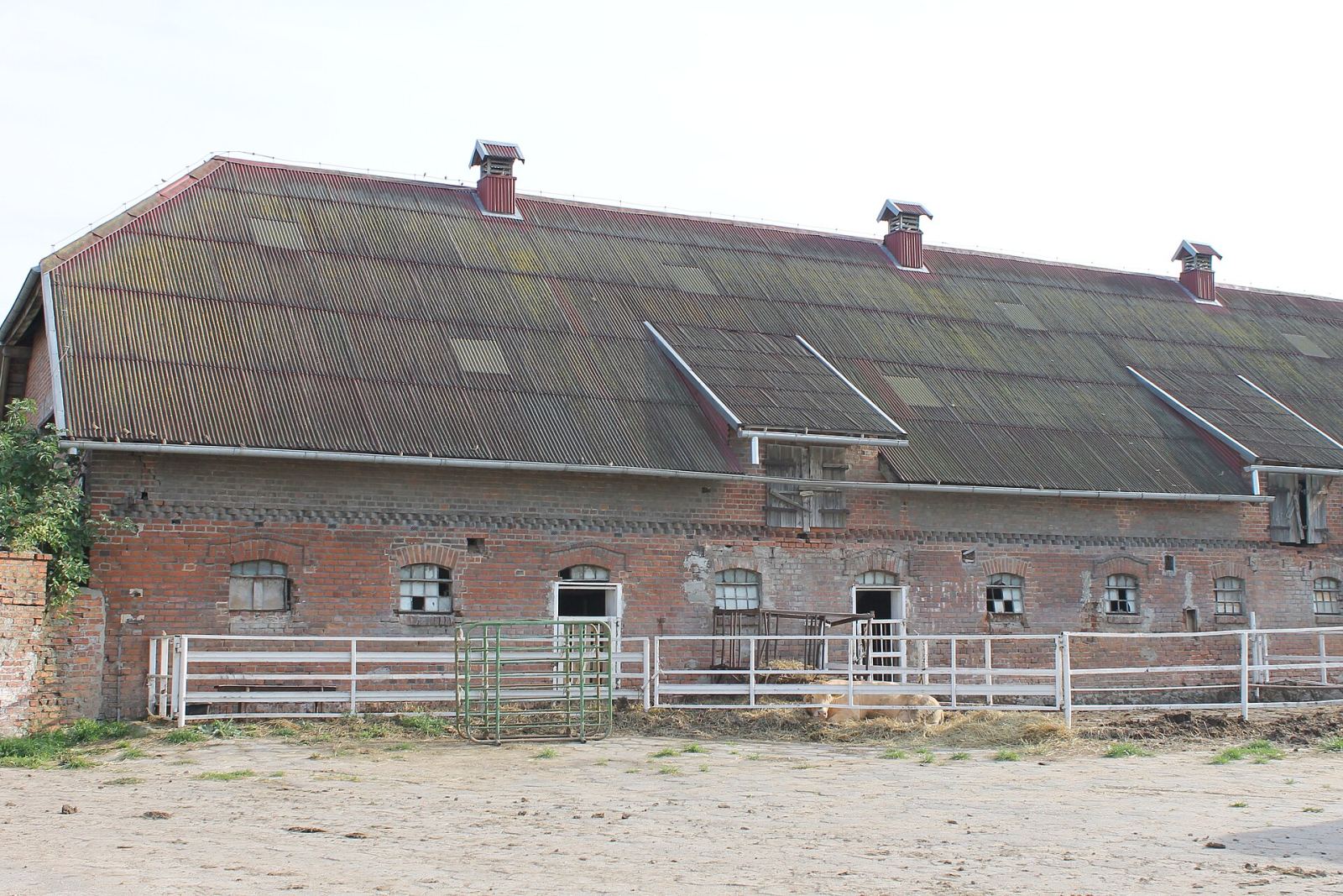 Obora, Bartoszewice