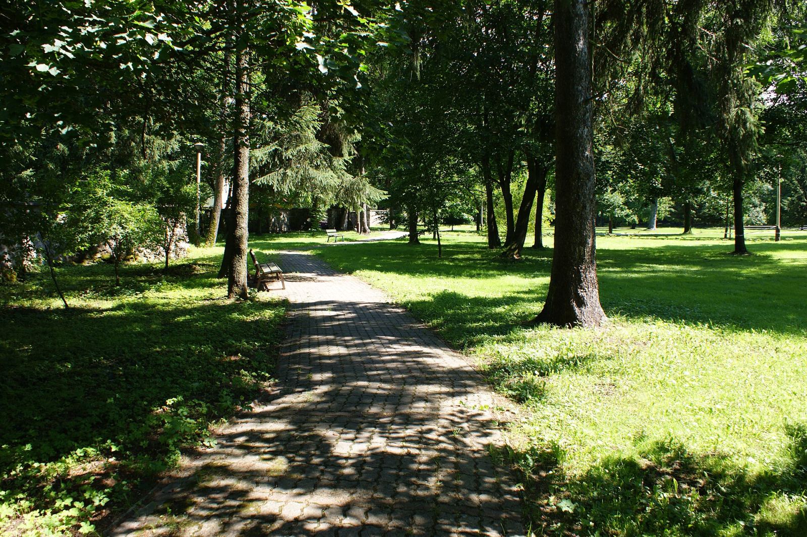 Park, Darskowo