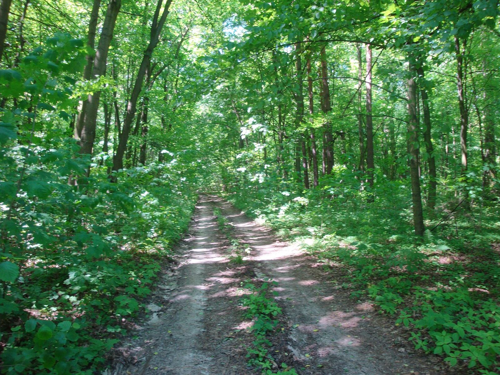 Park, Kluczkowice-Osiedle