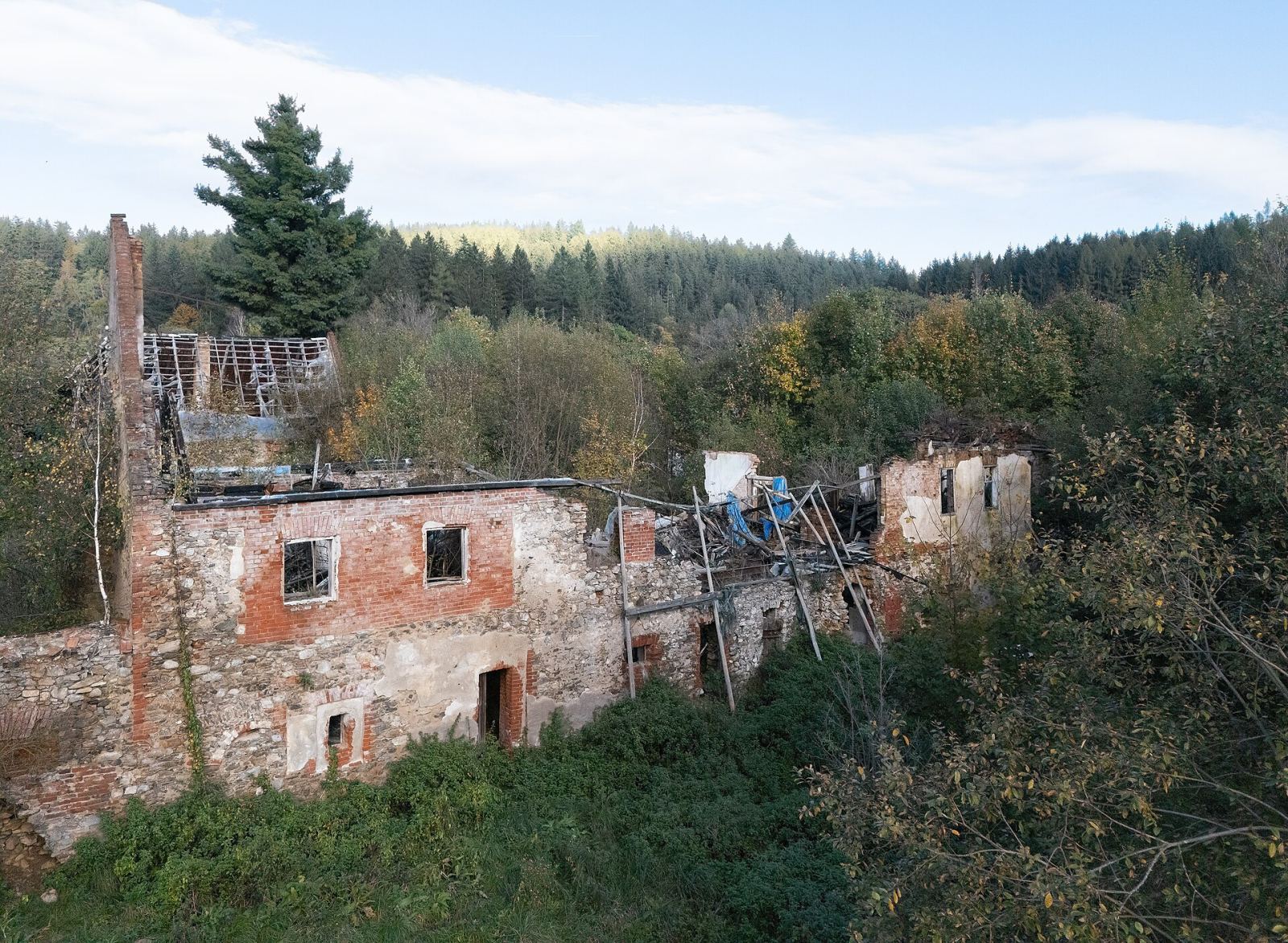 Dwór, Orłowiec