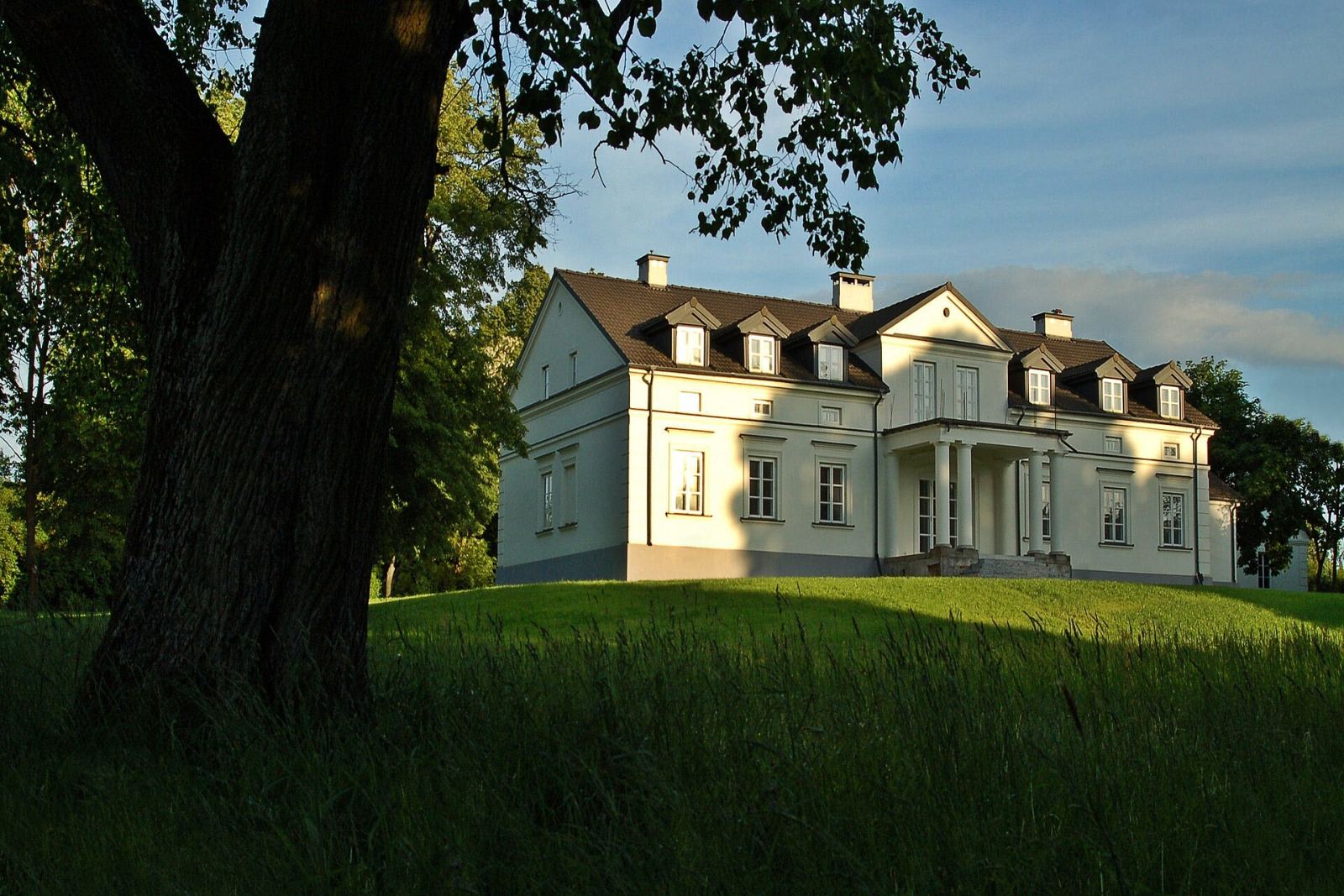 Dwór, Mołomotki