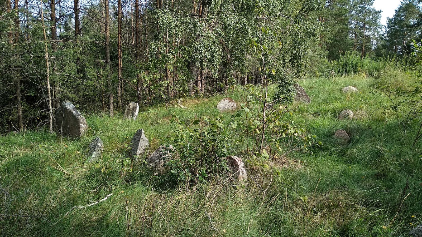 Cmentarz żydowski, Jasionówka