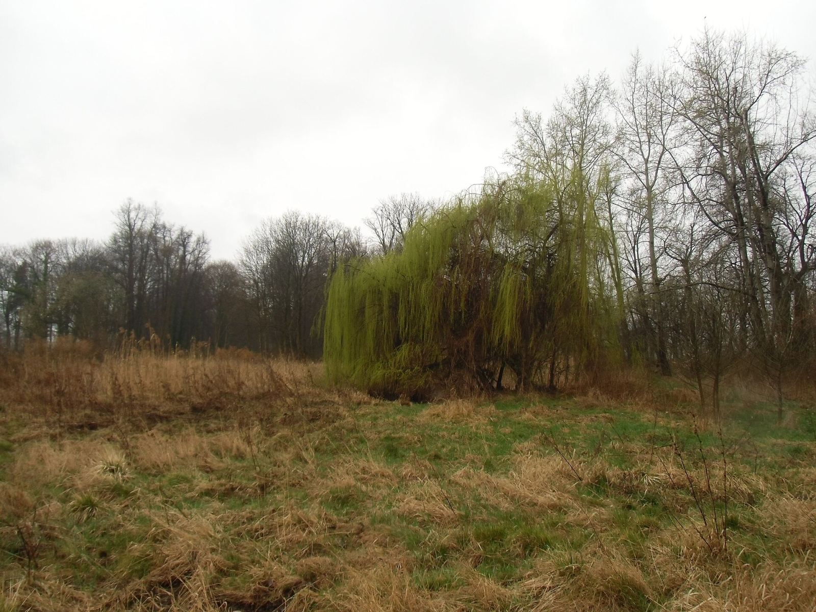 Park, Małuszów