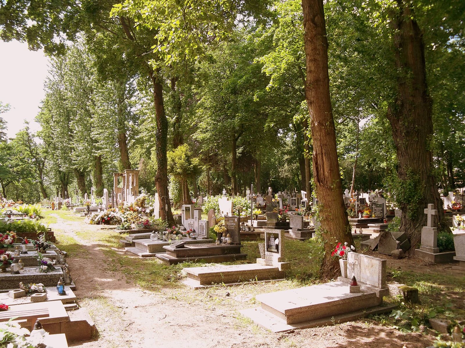 Cmentarz ewangelicki, Białogard