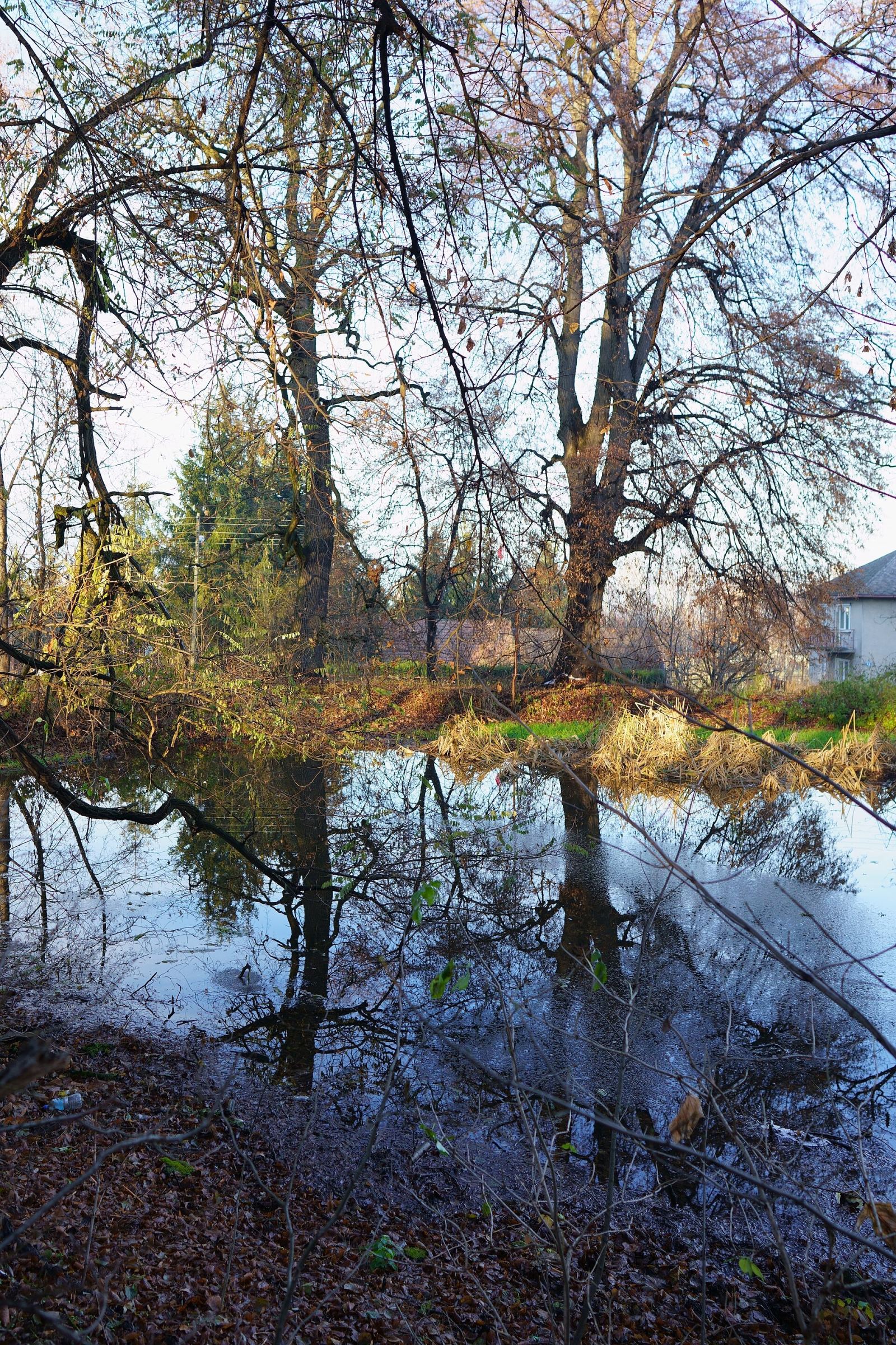Park, Tomaszkowice
