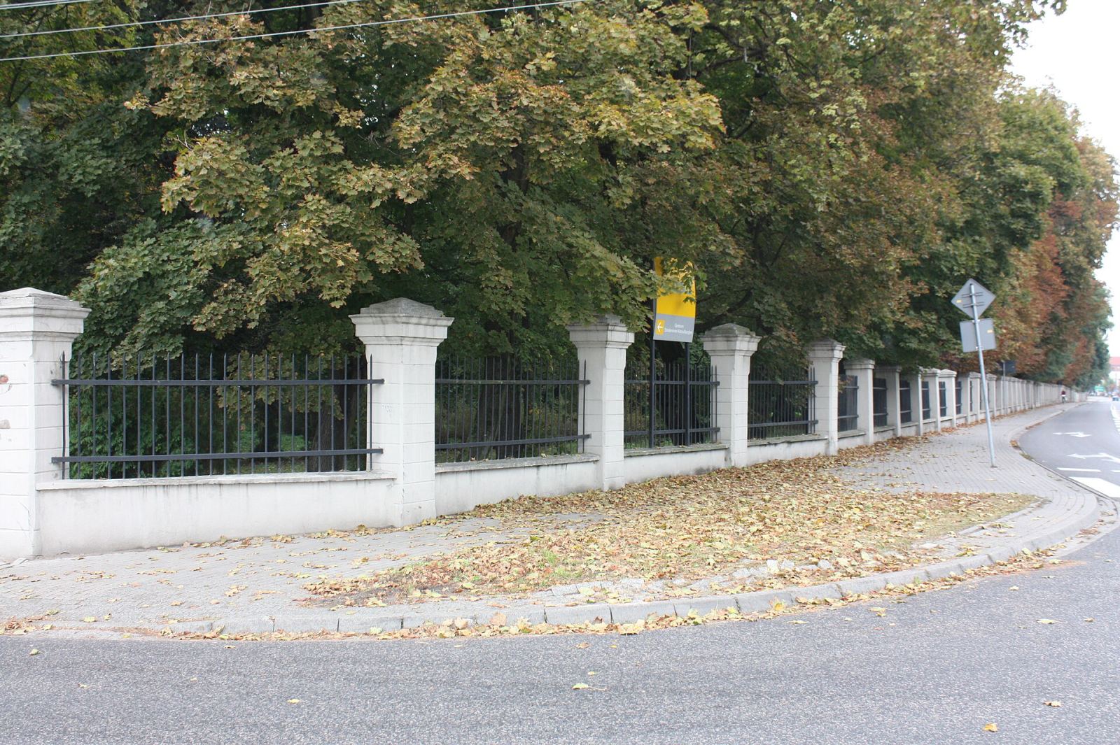 Ogrodzenie, Leszno