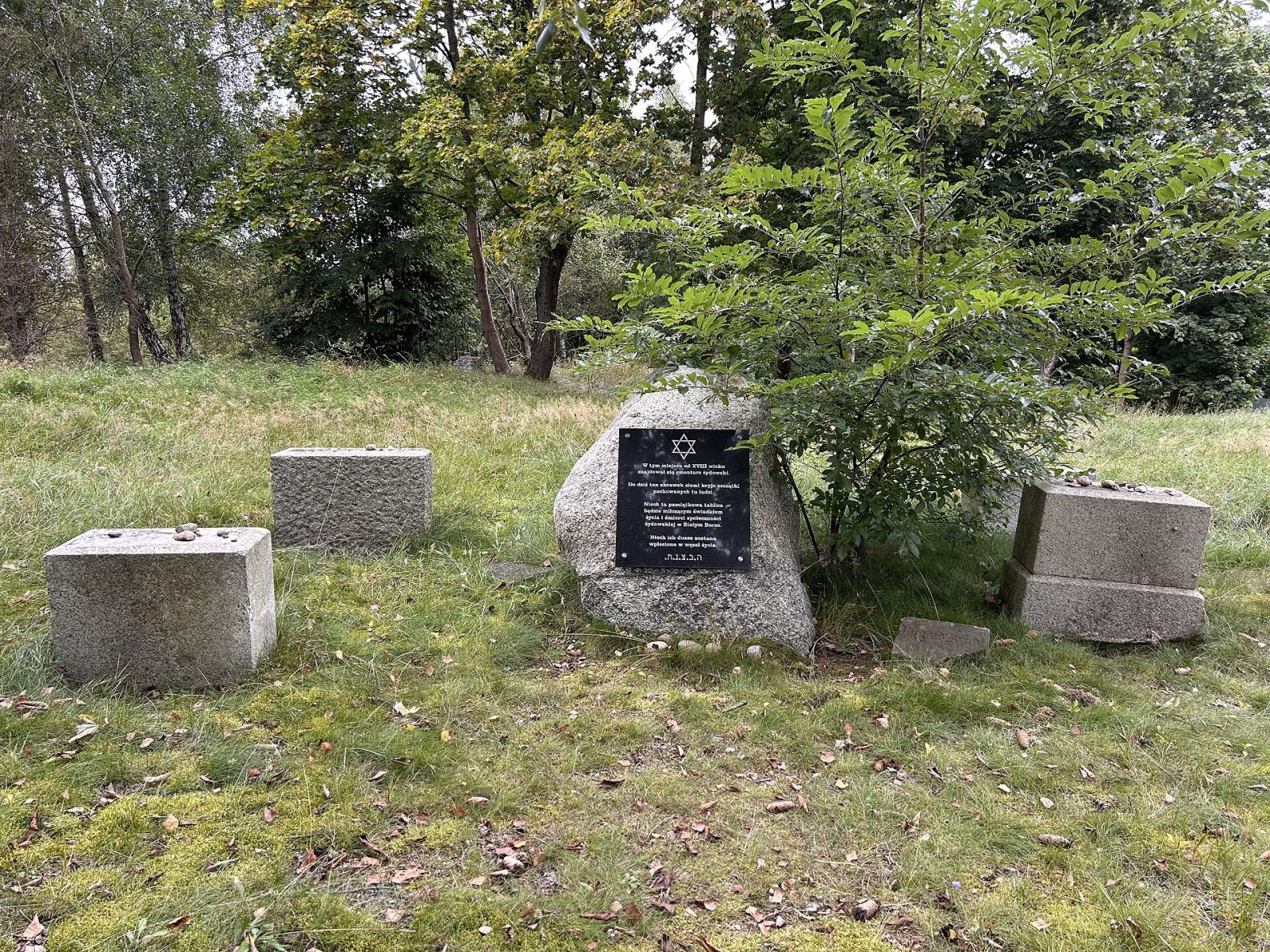 Cmentarz żydowski, Biały Bór