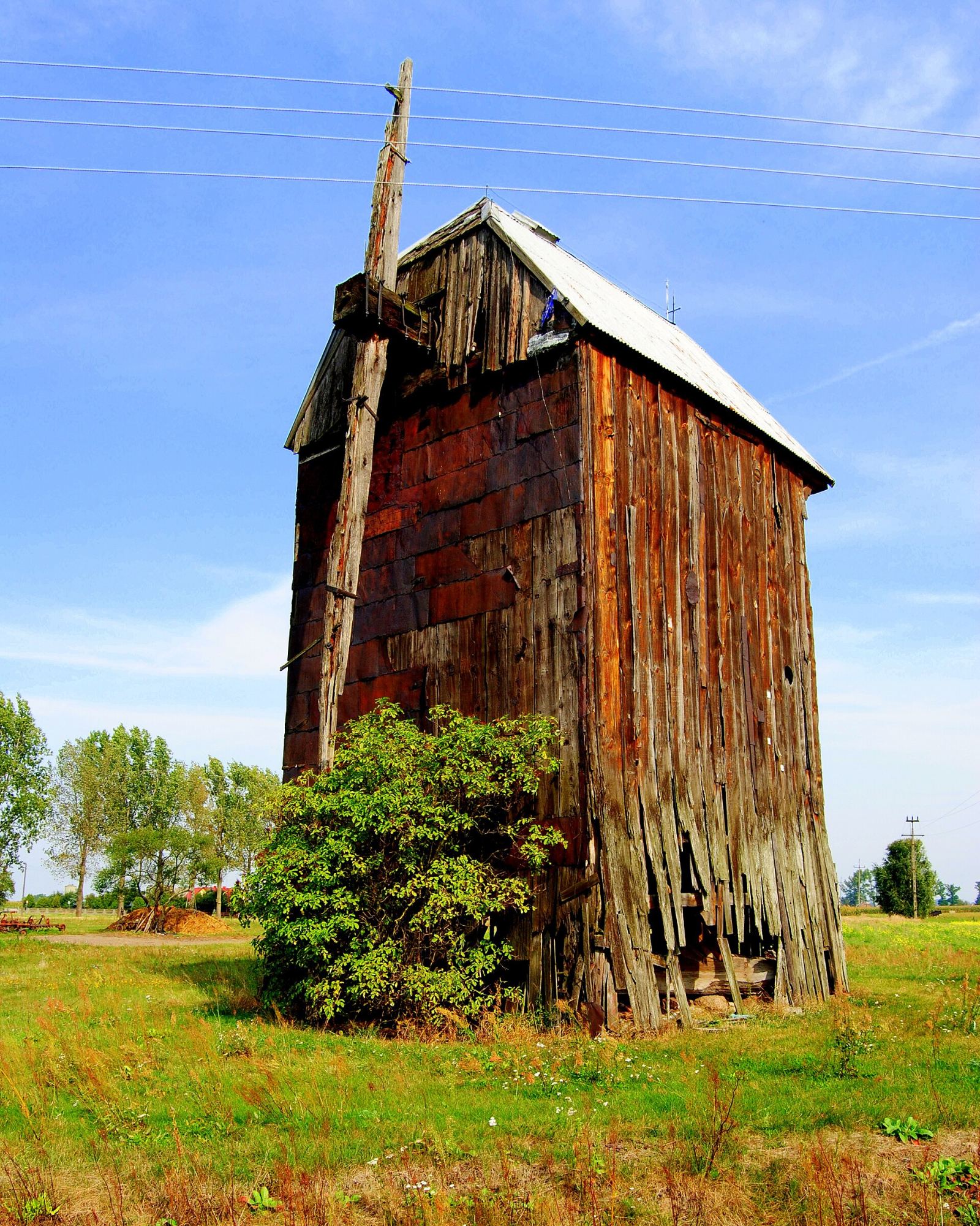 Wiatrak koźlak, Tomaszew