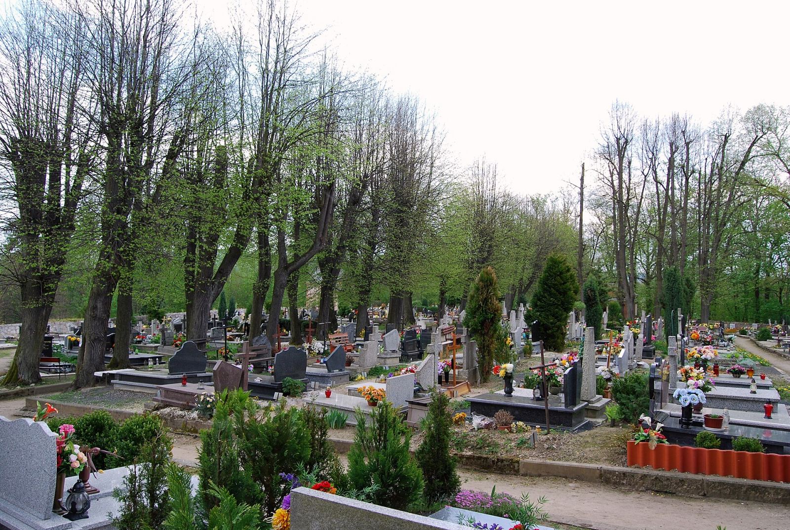 Cmentarz ewangelicki, Wleń
