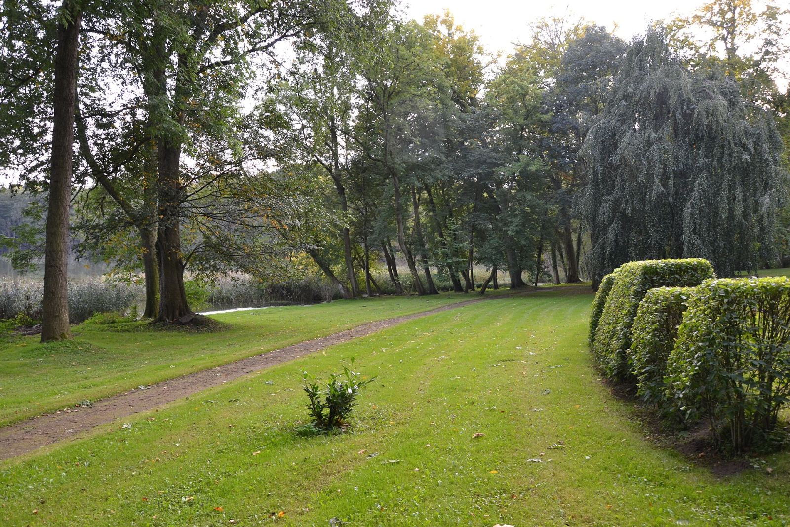 Park pałacowy, Chełm Dolny