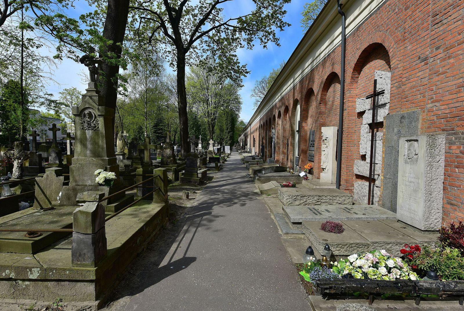 Aleja Zasłużonych, Warszawa