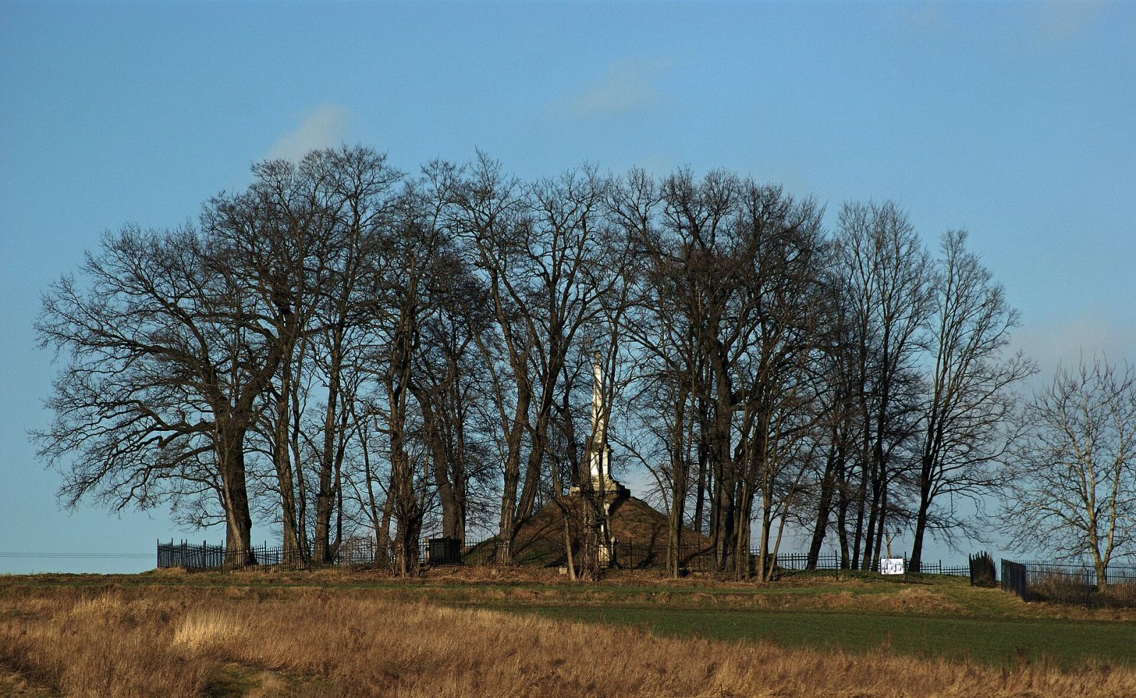Cmentarz kalwiński, Kraków
