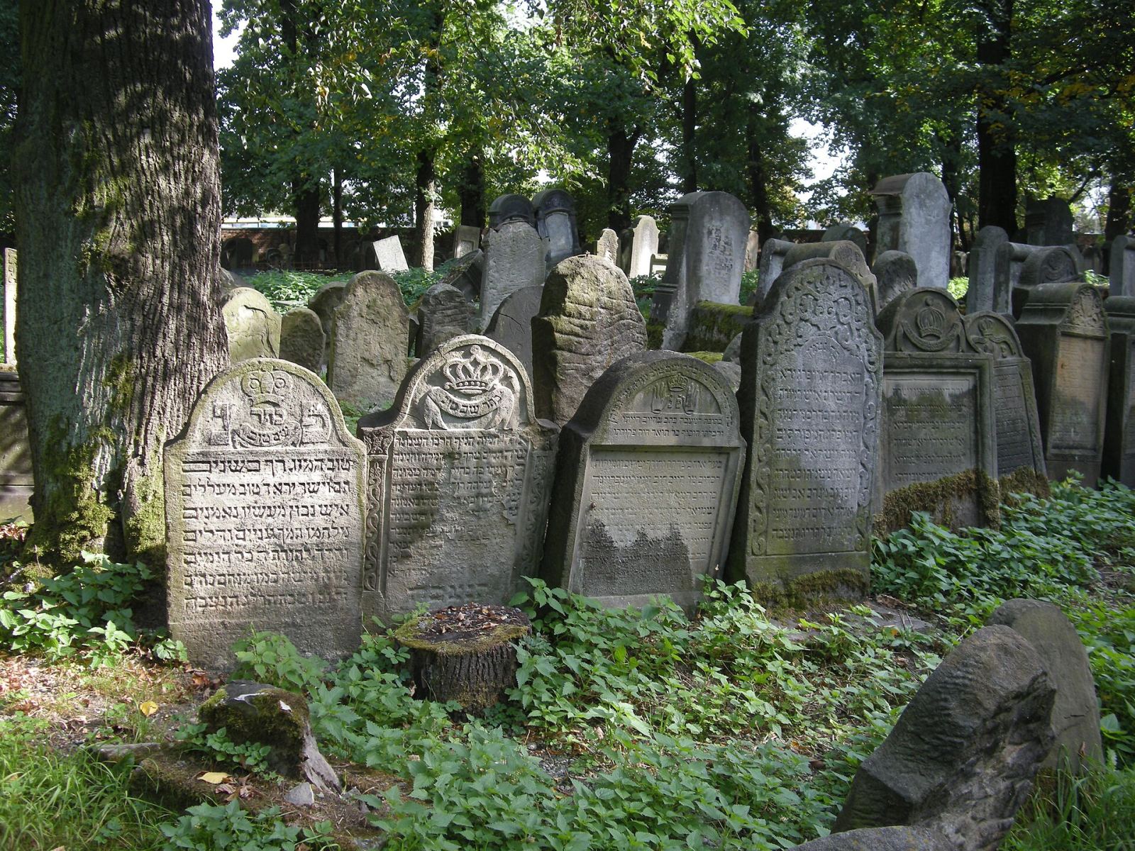 Cmentarz żydowski, Tarnów