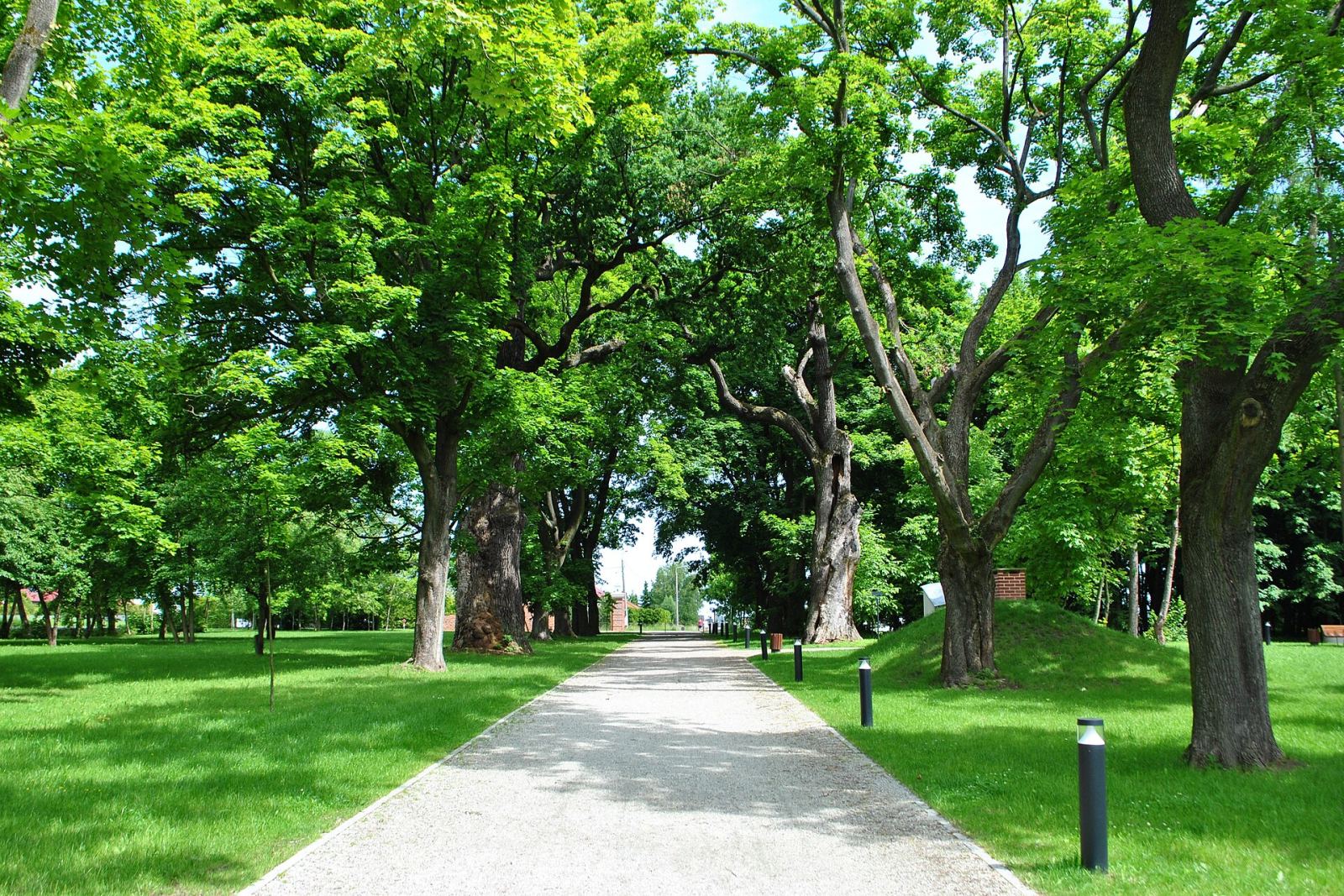 Park, Żory