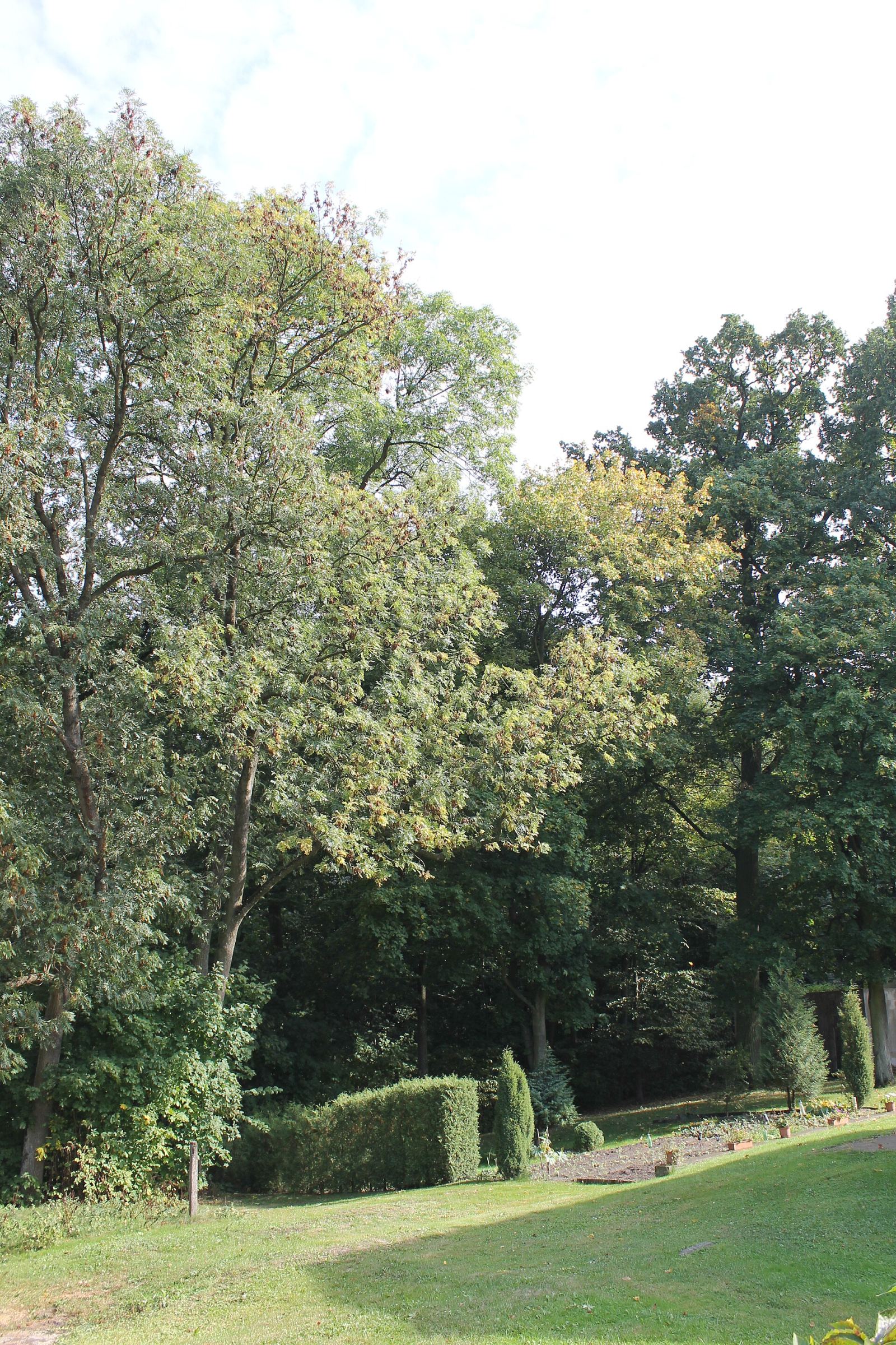 Park, Józefkowo