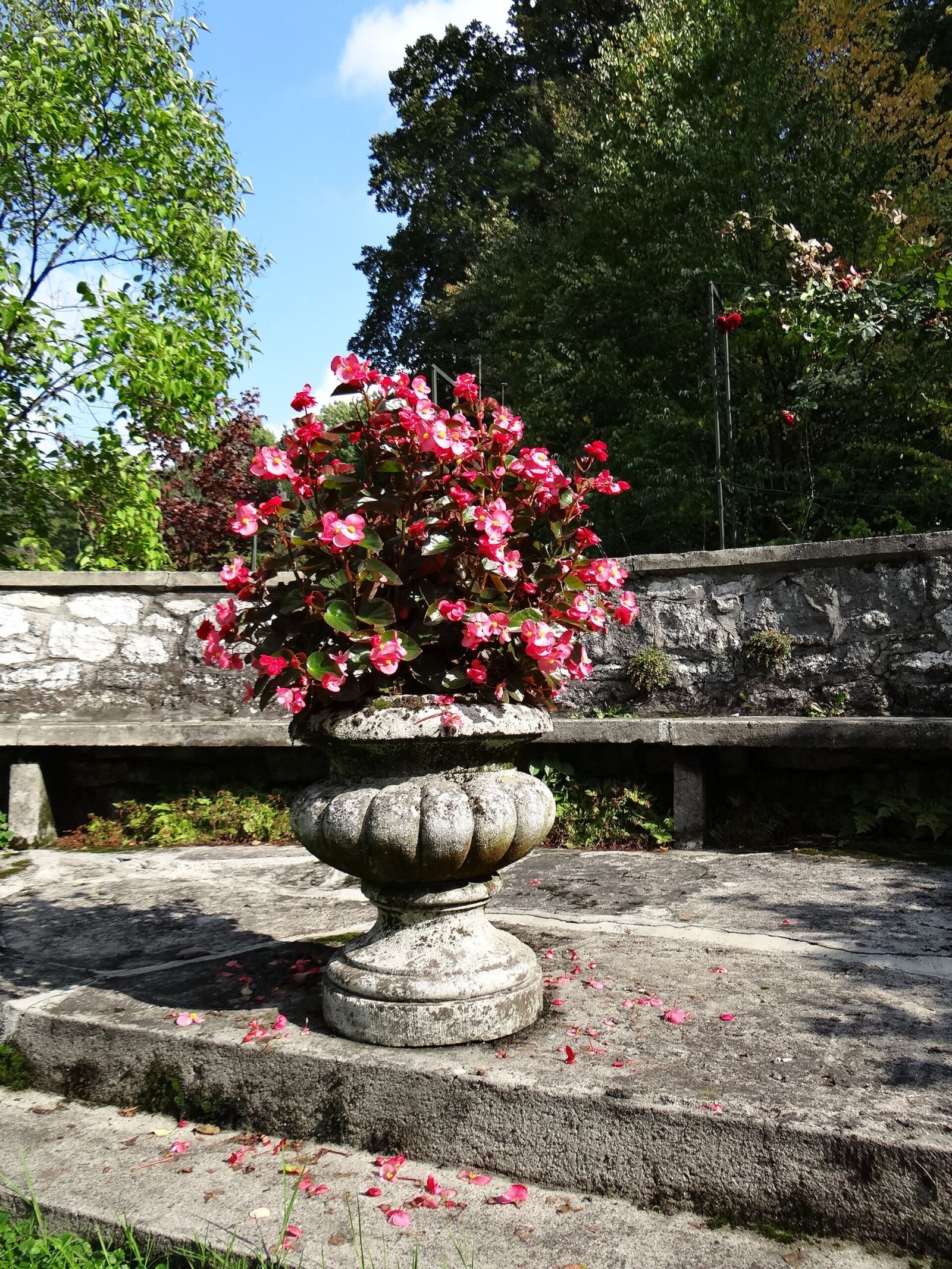 Park, Rybna