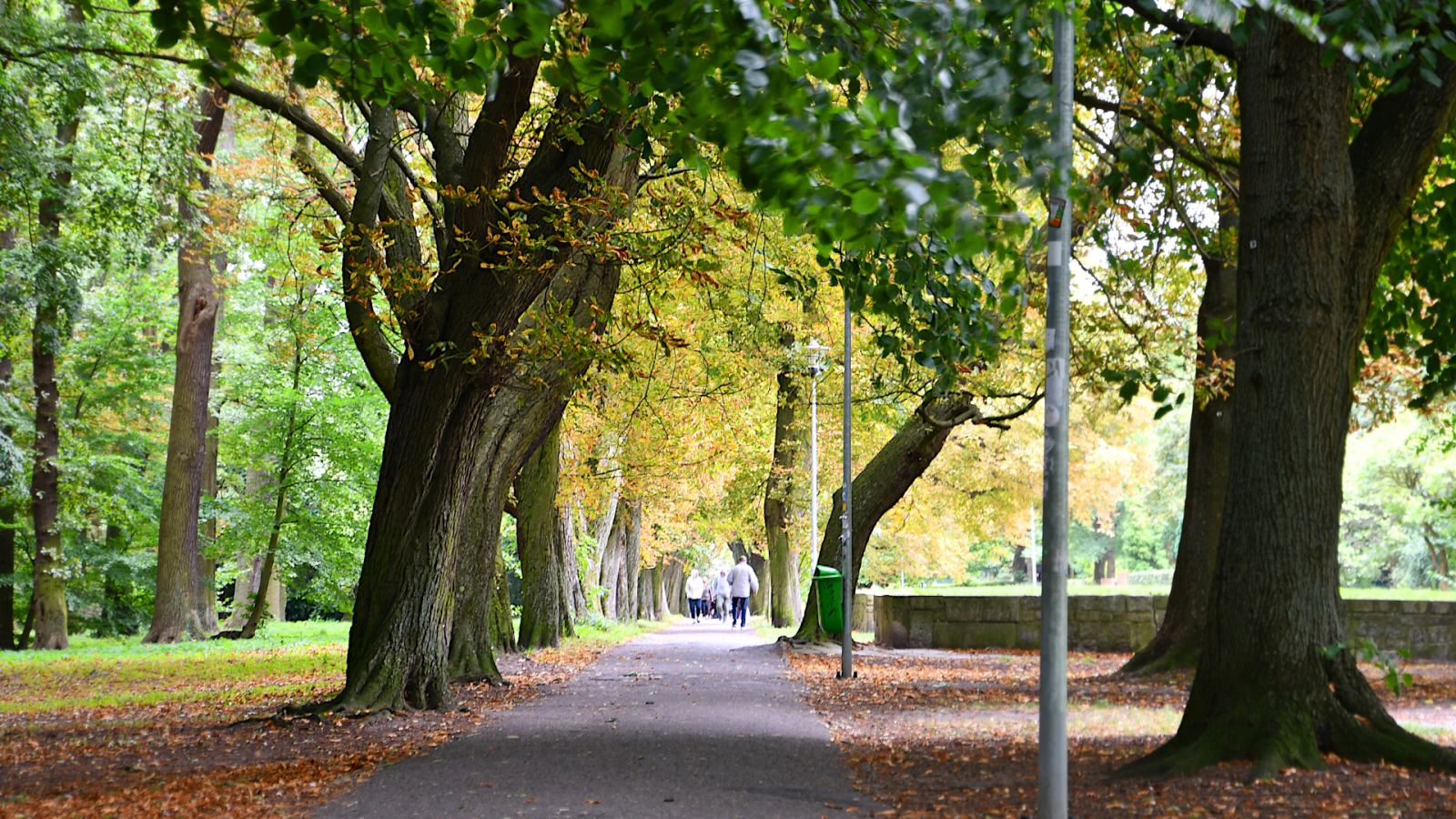 Promenada z aleją kasztanowców, Kołobrzeg
