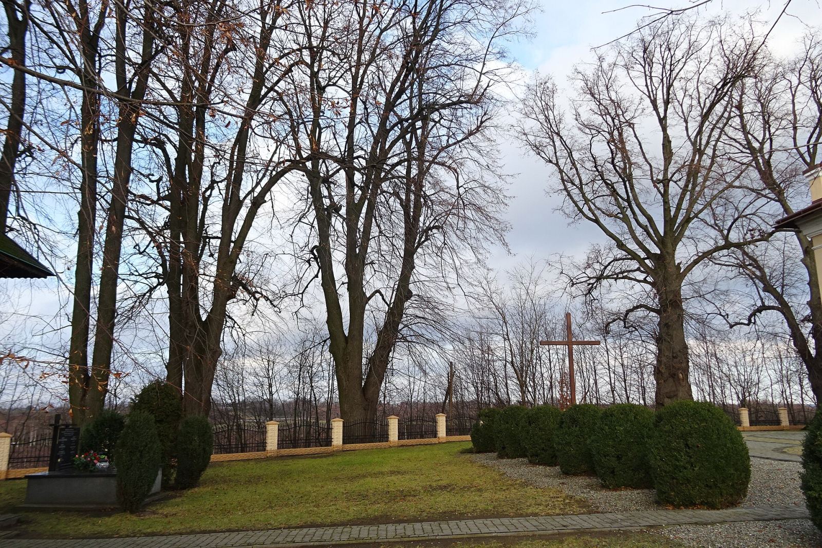 Starodrzew, Walawa