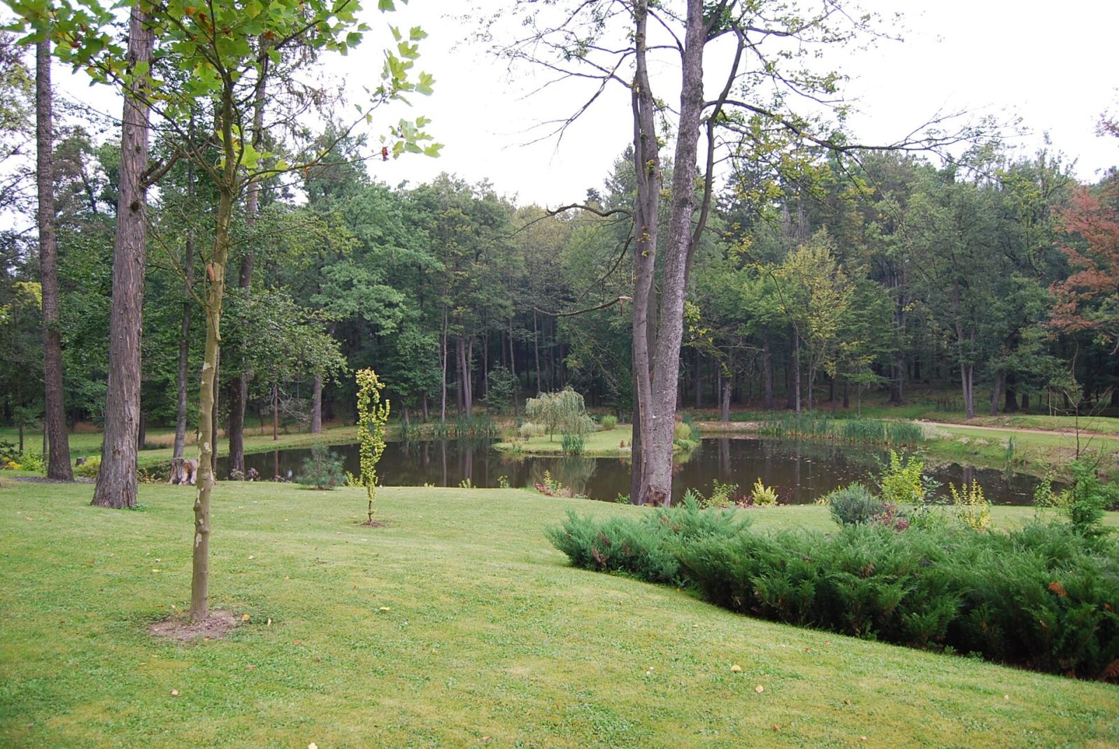 Park, Karpniki