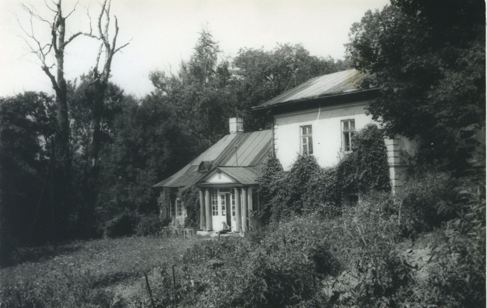 Zespół dworsko-parkowy, Ladzin