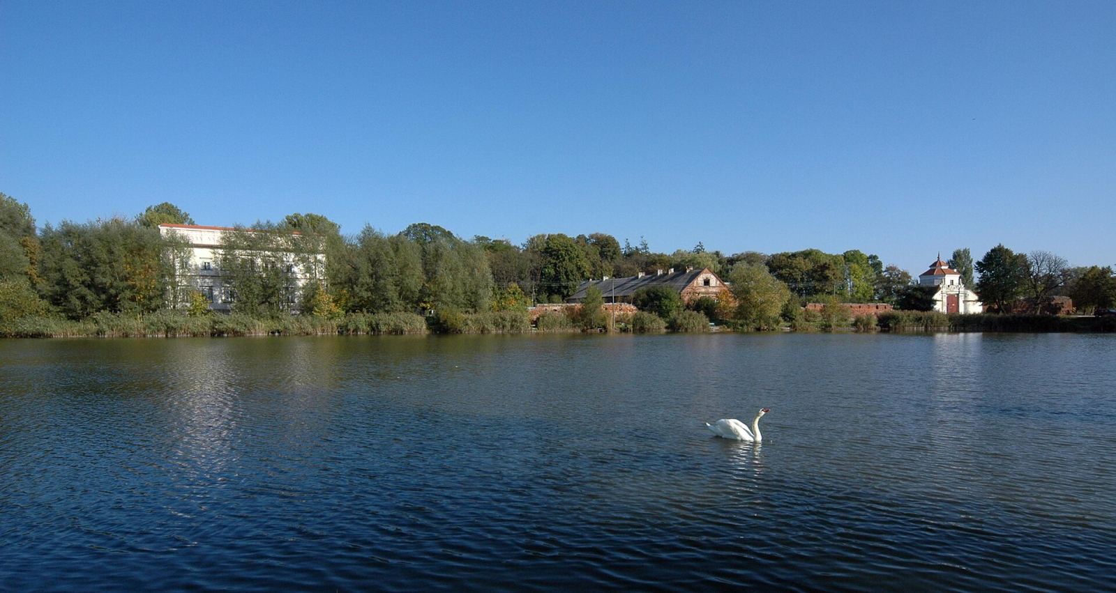 D. zespół pałacowo-obronny, Czemierniki