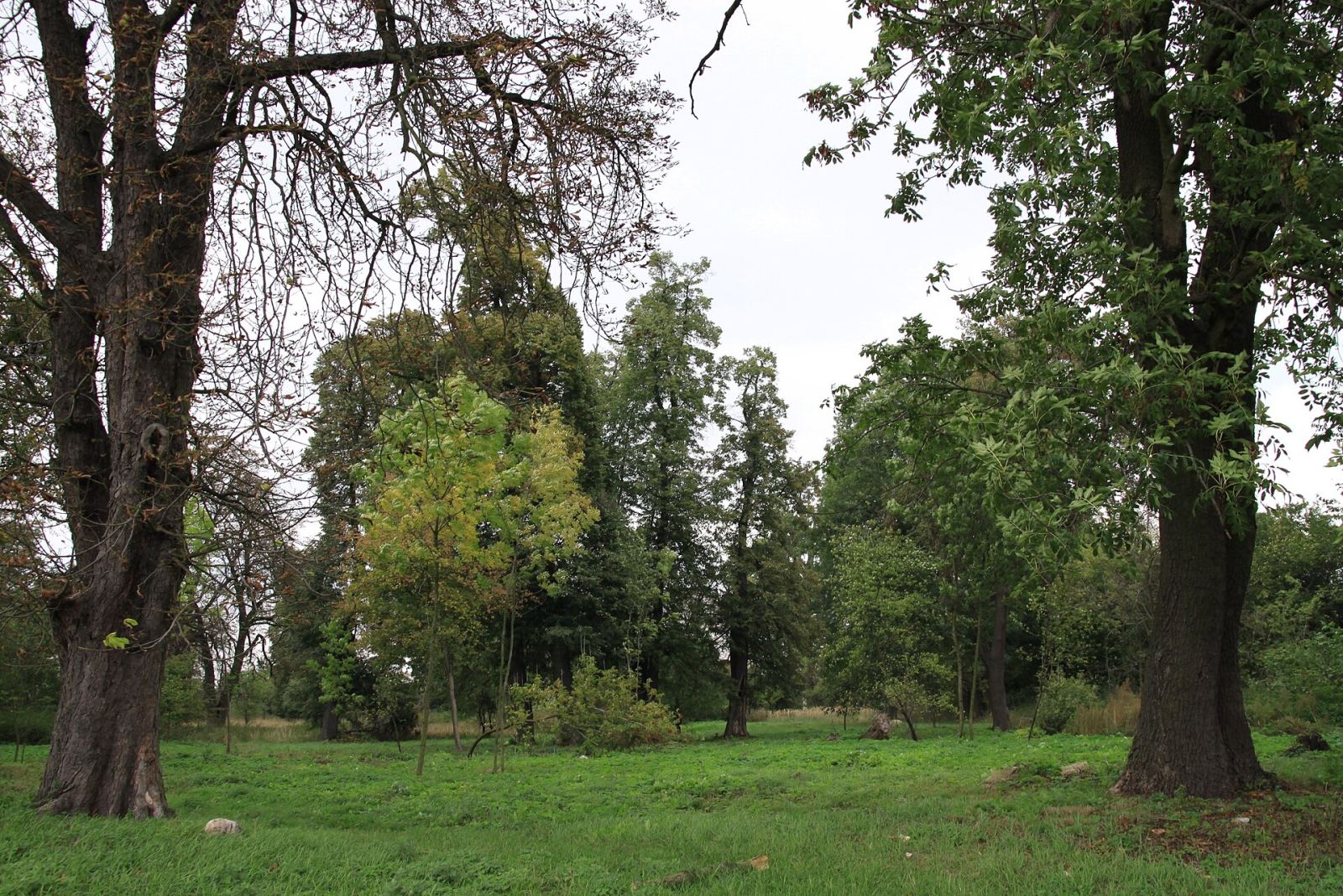 Park krajobrazowy, Kołomia