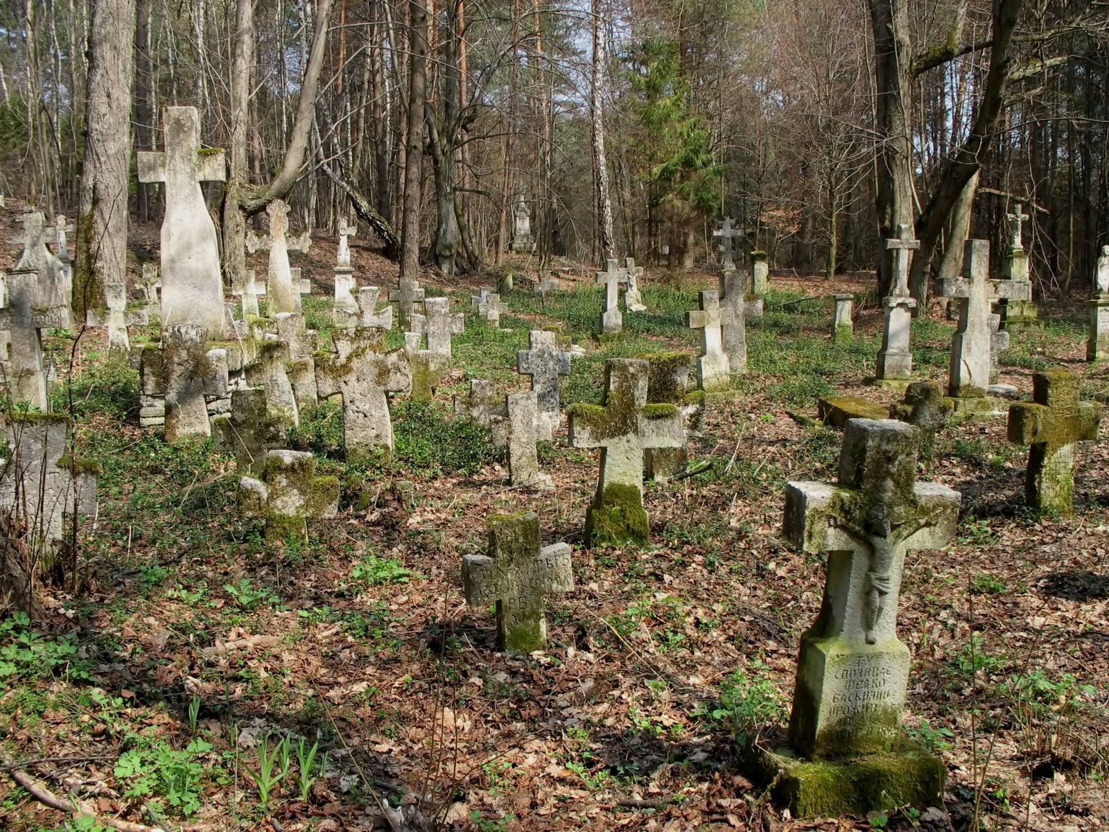 Cmentarz greckokatolicki, Polanka Horyniecka