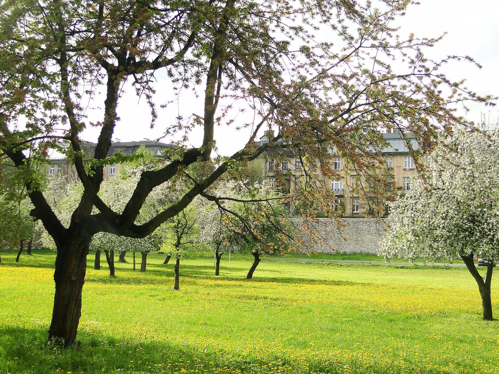 Ogrody klasztorne, Kraków