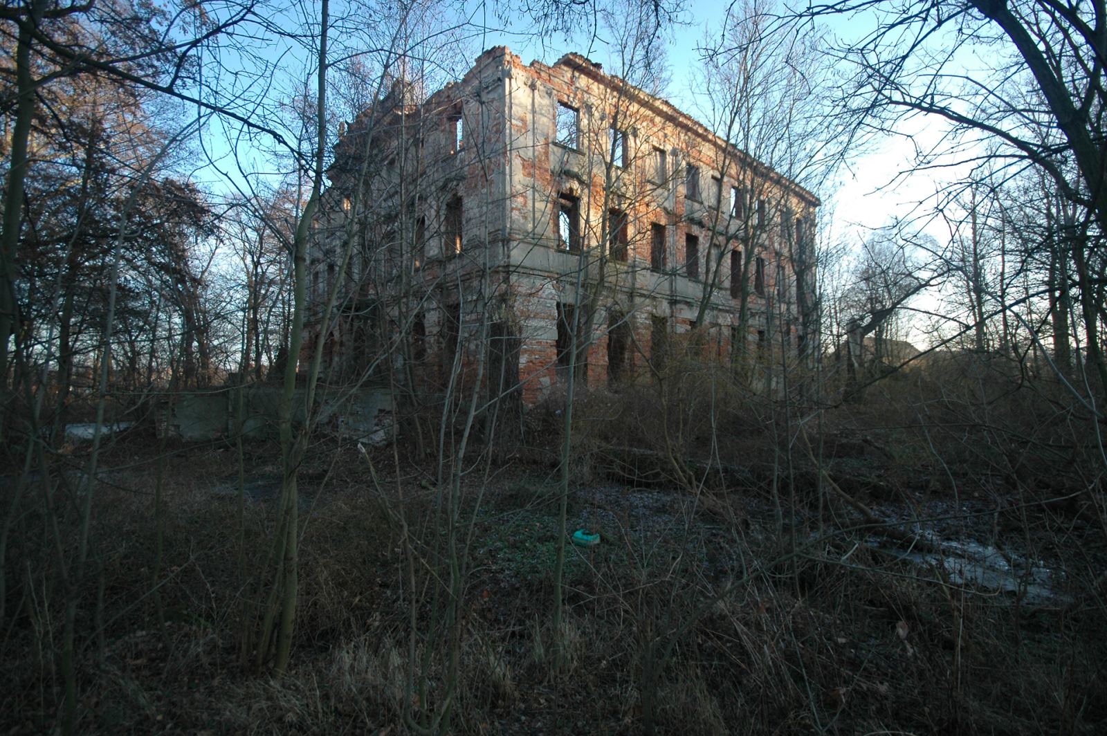 Pałac, Krzydłowice