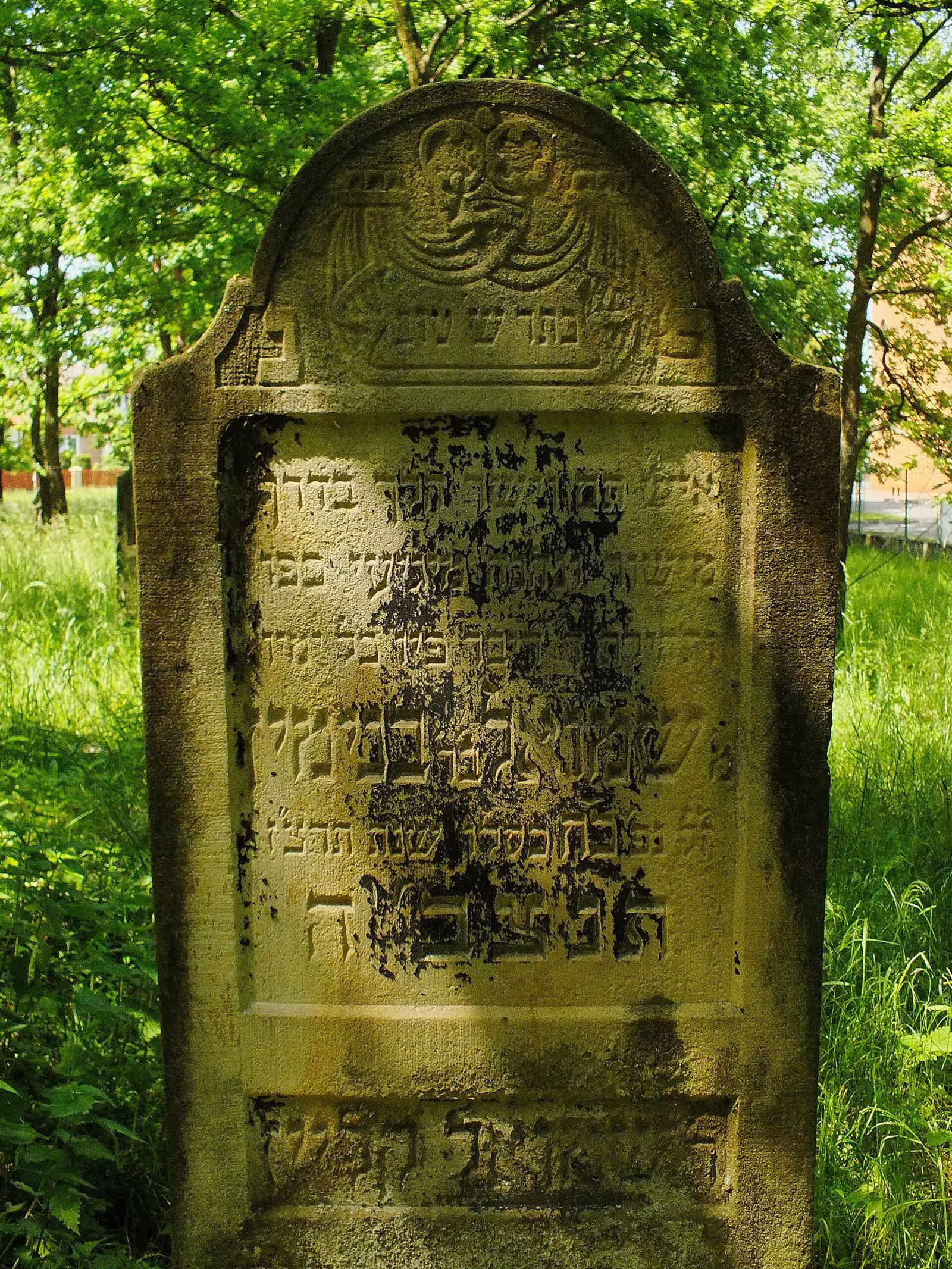 Cmentarz żydowski, Szczucin