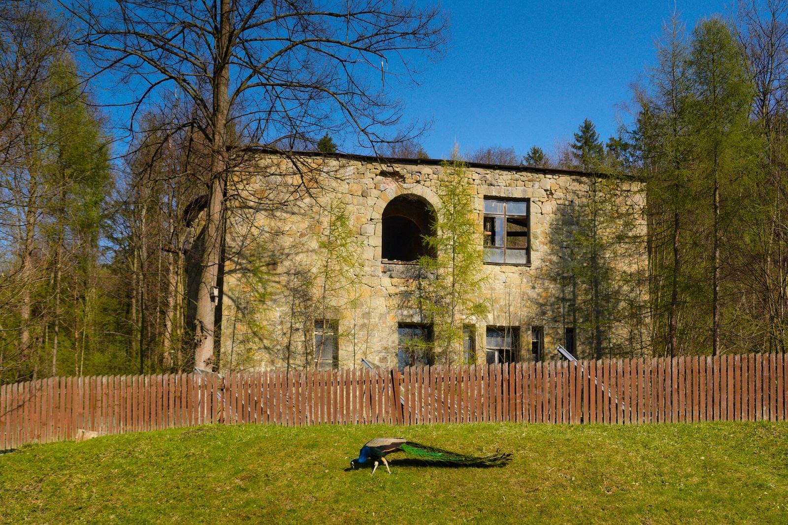 Zabudowania gospodarcze, Rajcza