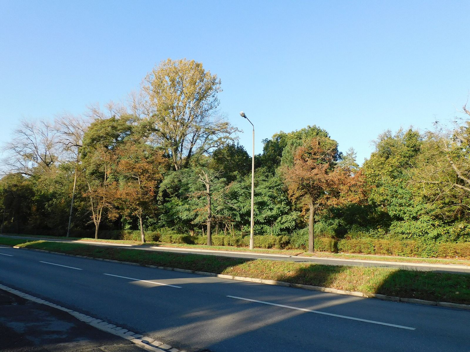 Ogród Roślin Leczniczych Akademii Medycznej, Wrocław