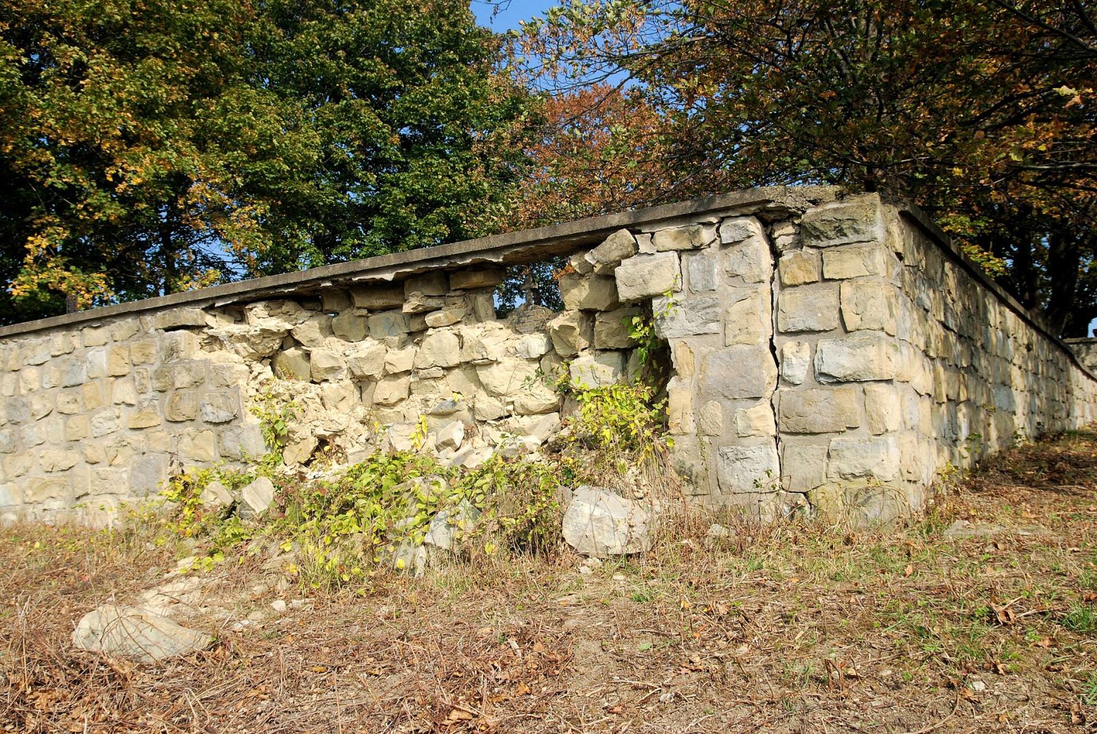 Ogrodzenie, Sękowa
