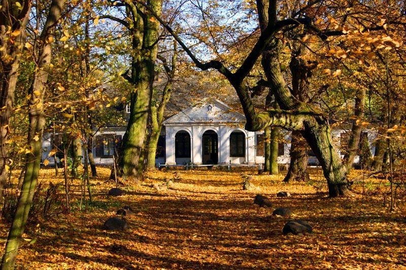 Park, Nowa Sucha