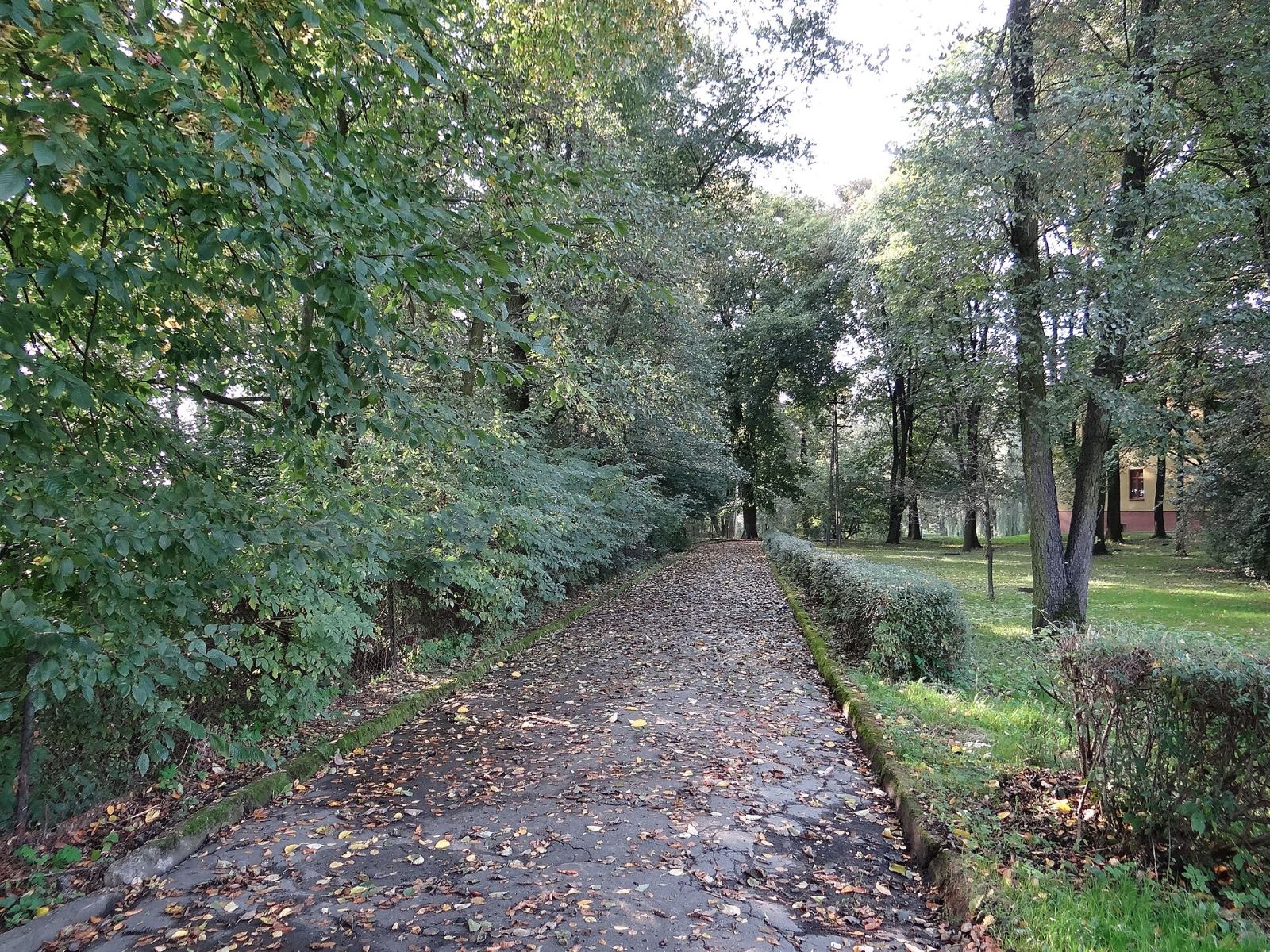 Park, Czernichów