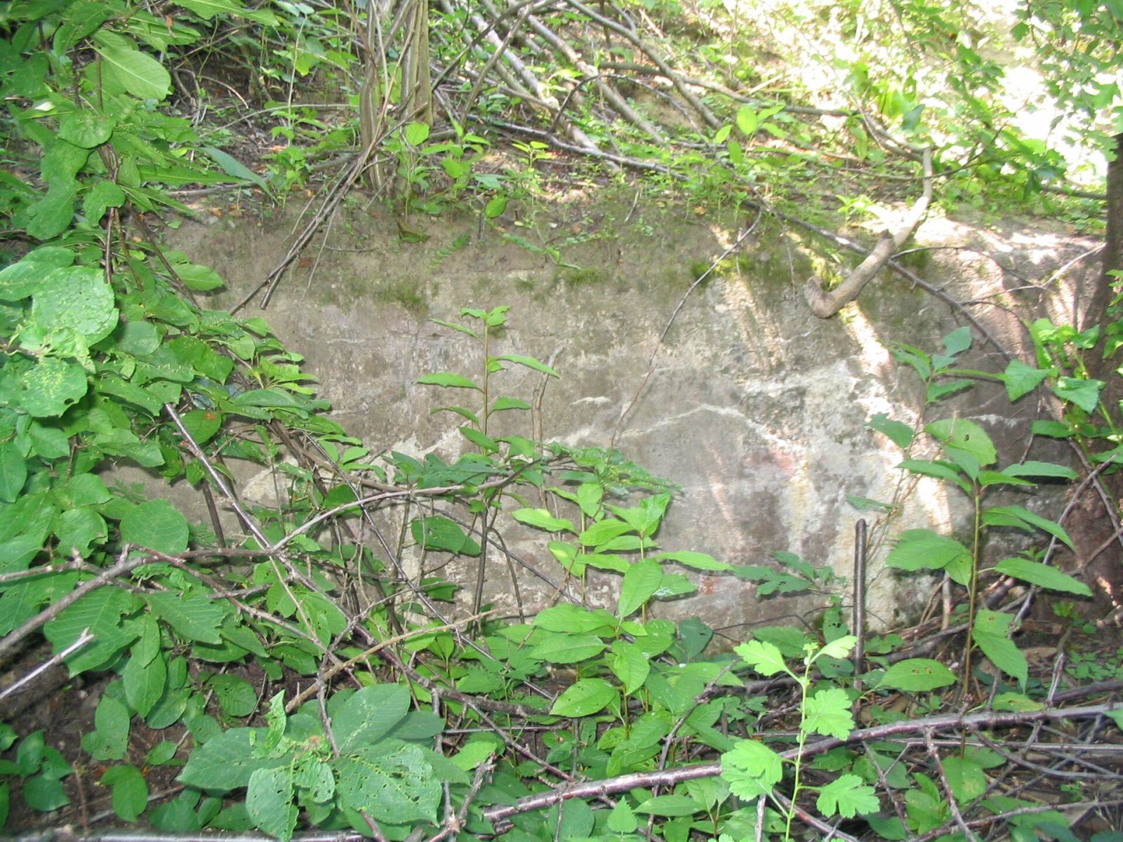 Fort artyleryjski GZW Xb Zagrodnia, Ujkowice